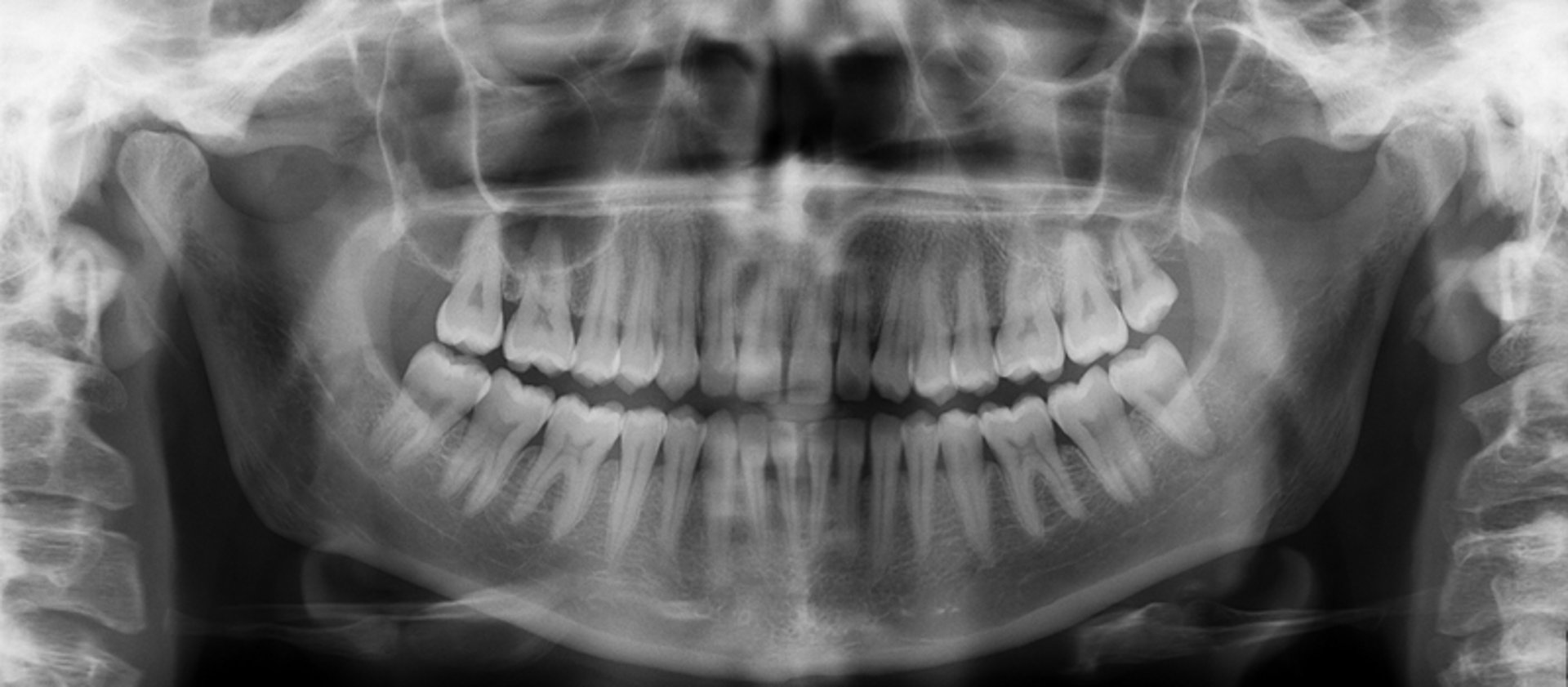 an abstract photo of a curved building with a blue sky in the background