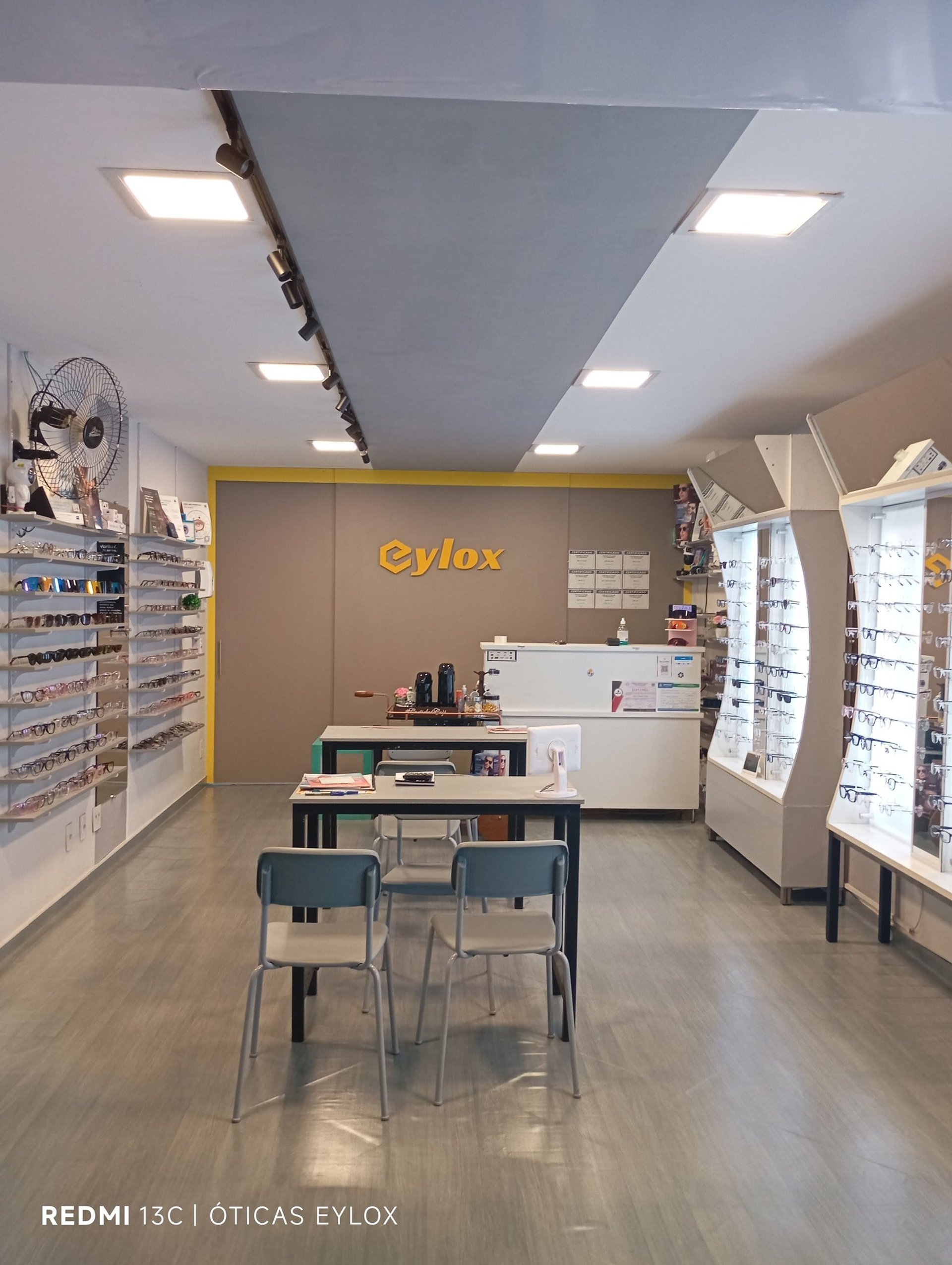 woman holding dried flower