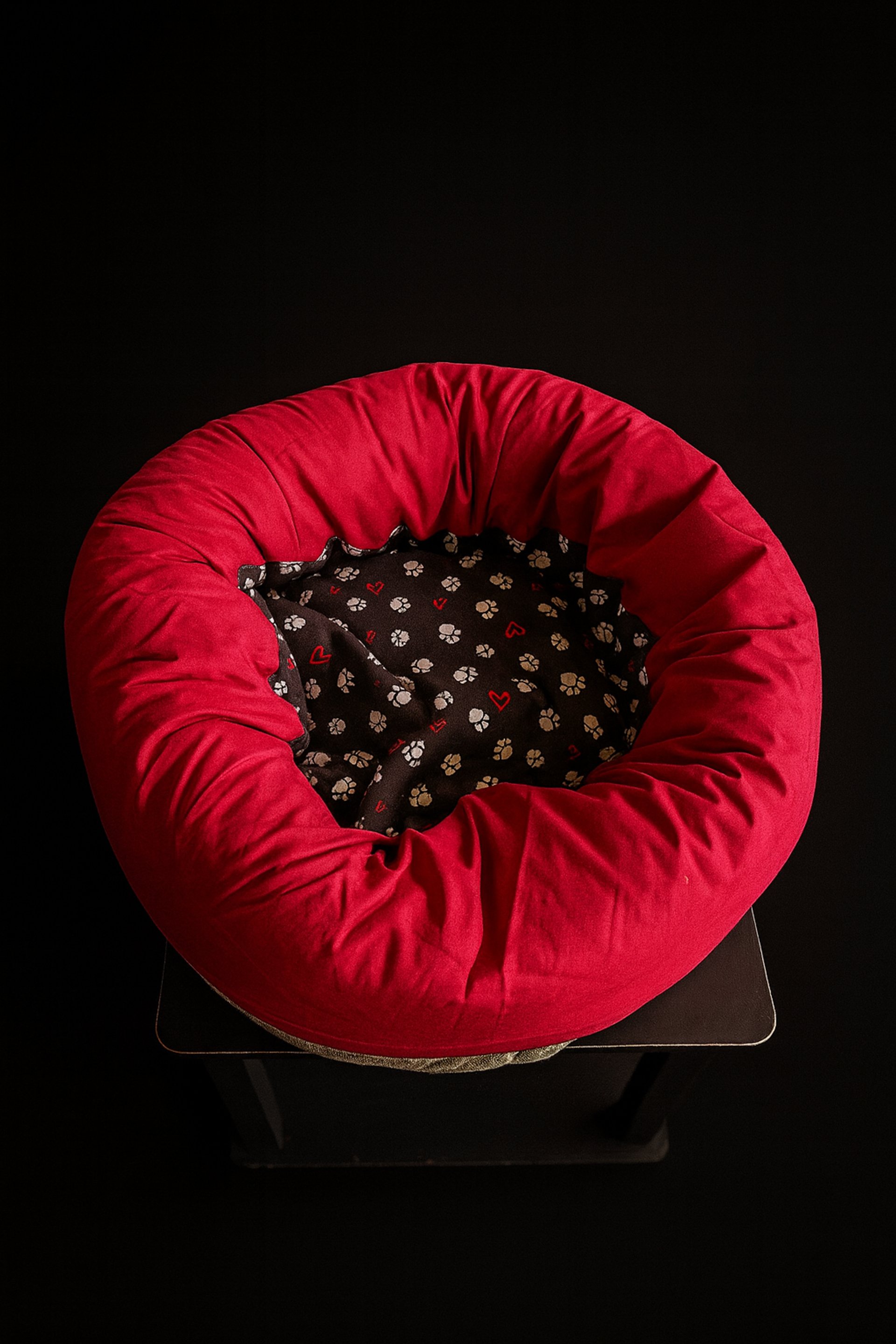woman holding dried flower