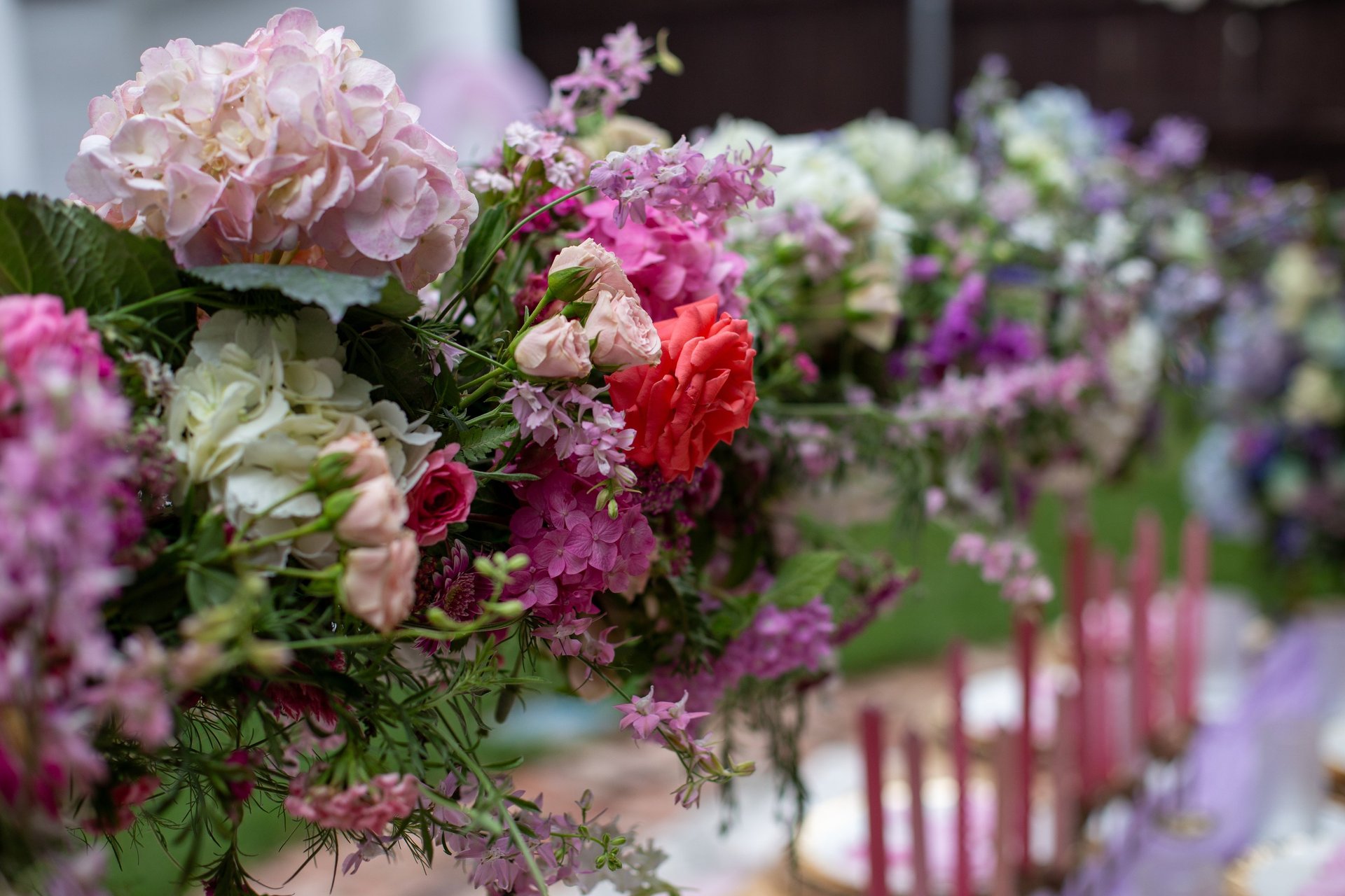 closeup photography of white and pink petaled flower