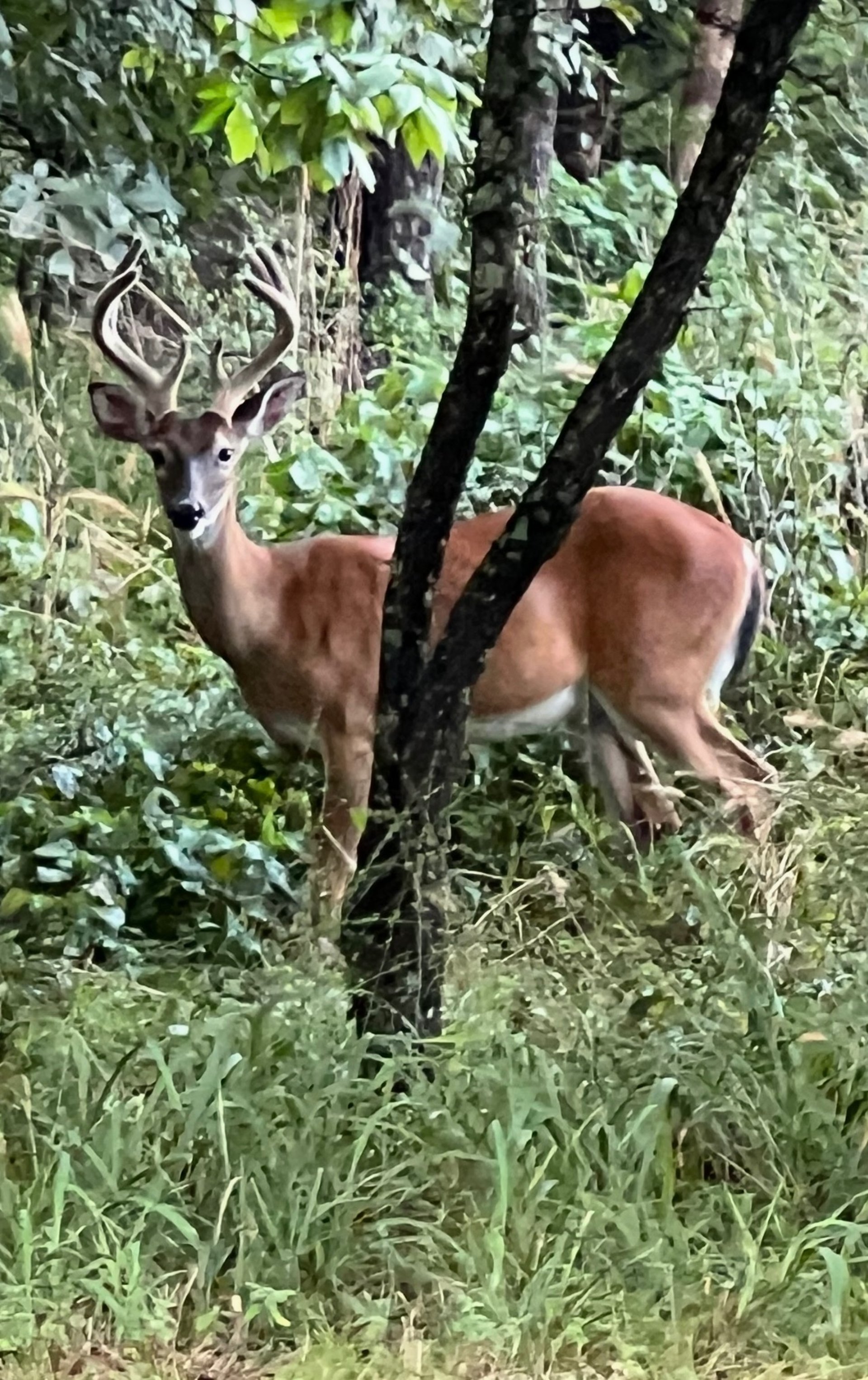 woman wearing yellow long-sleeved dress under white clouds and blue sky during daytime