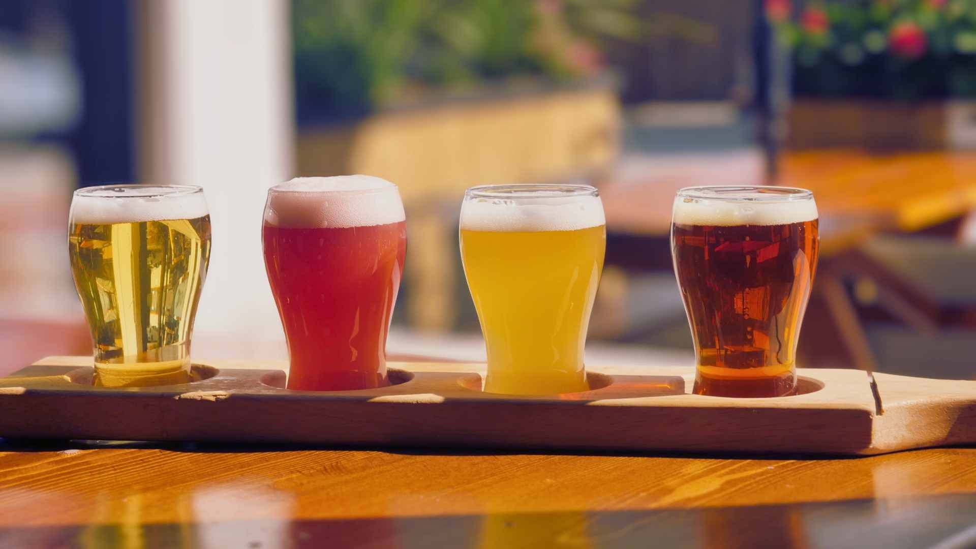 people having a toast