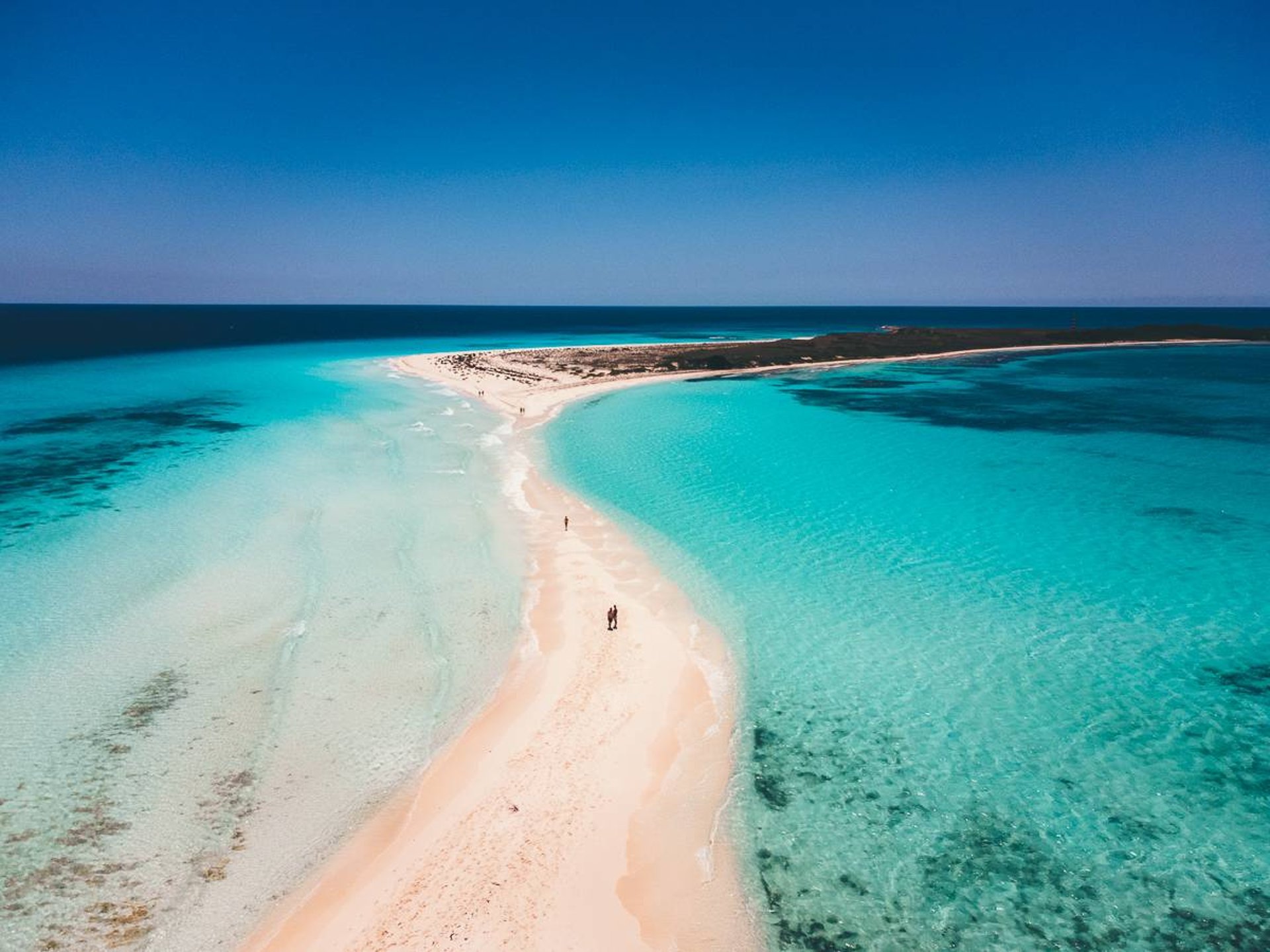 an abstract photo of a curved building with a blue sky in the background