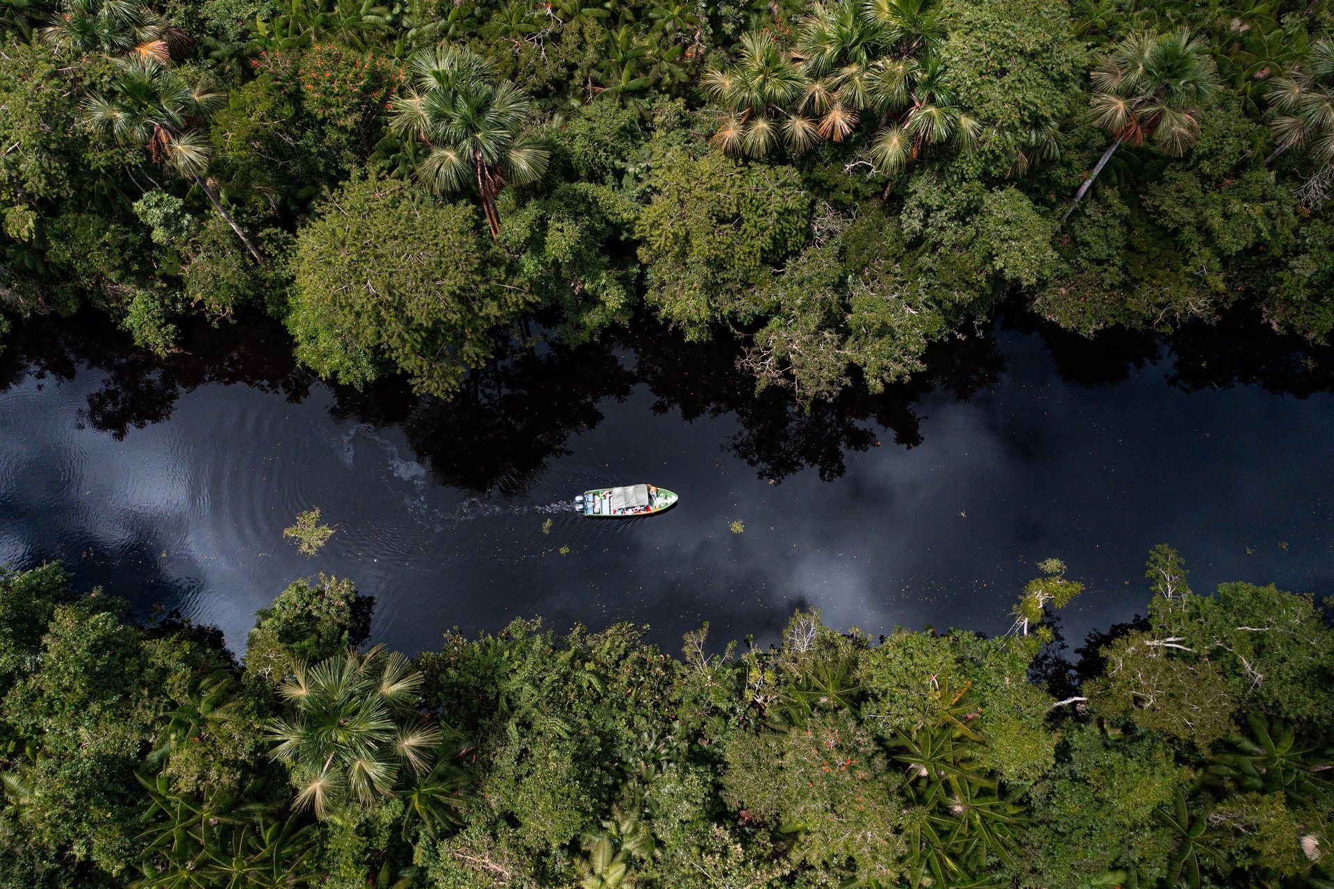 an abstract photo of a curved building with a blue sky in the background