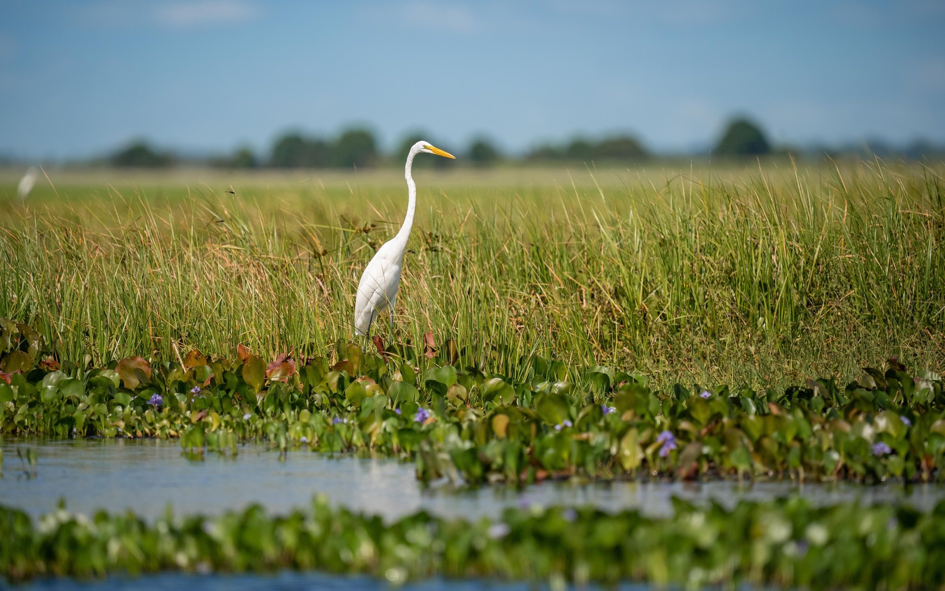 an abstract photo of a curved building with a blue sky in the background