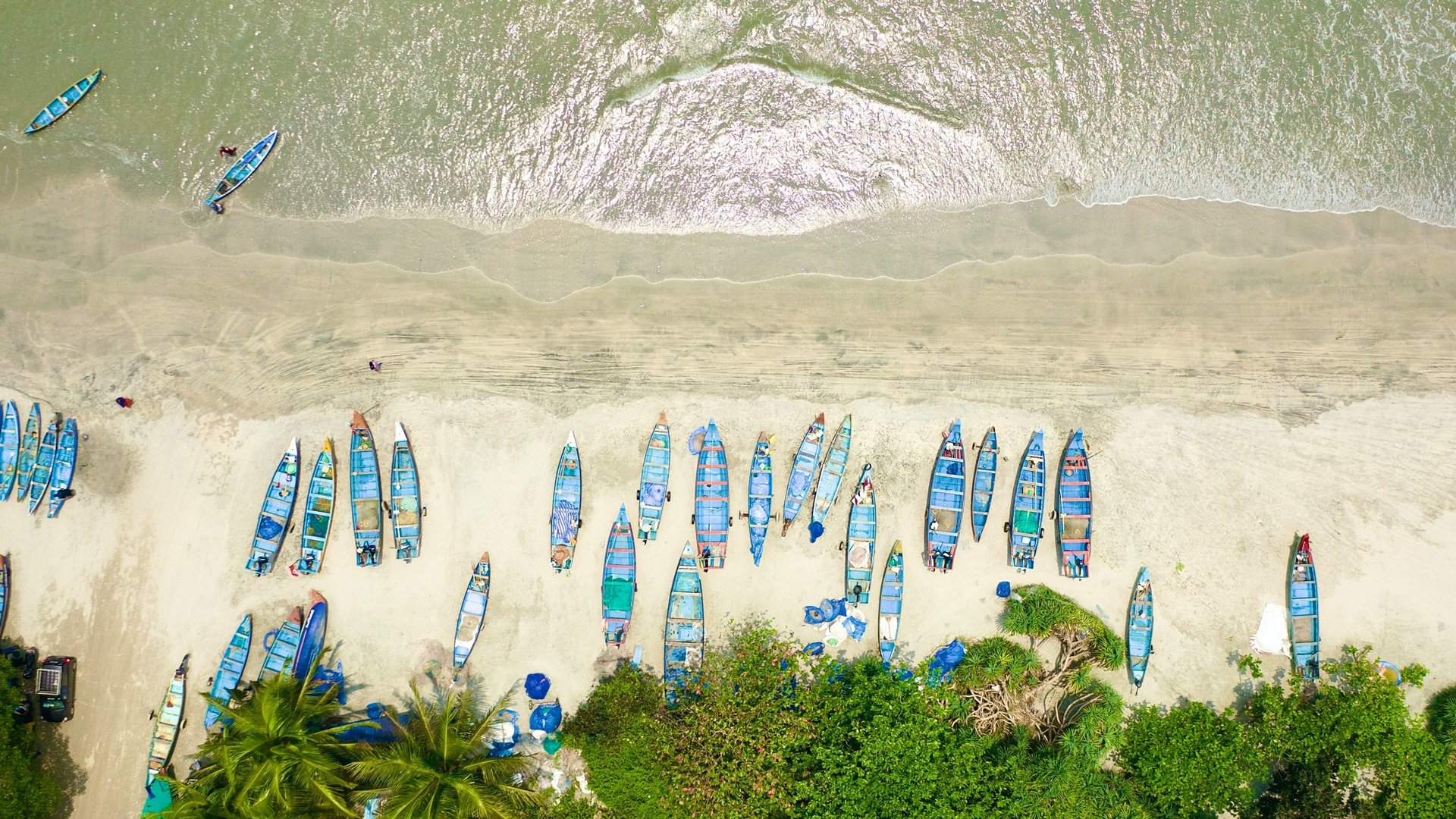 Aerial view of colorful fishing boats lined along the sandy shore of Kerala's drive-in beach, surrounded by lush greenery