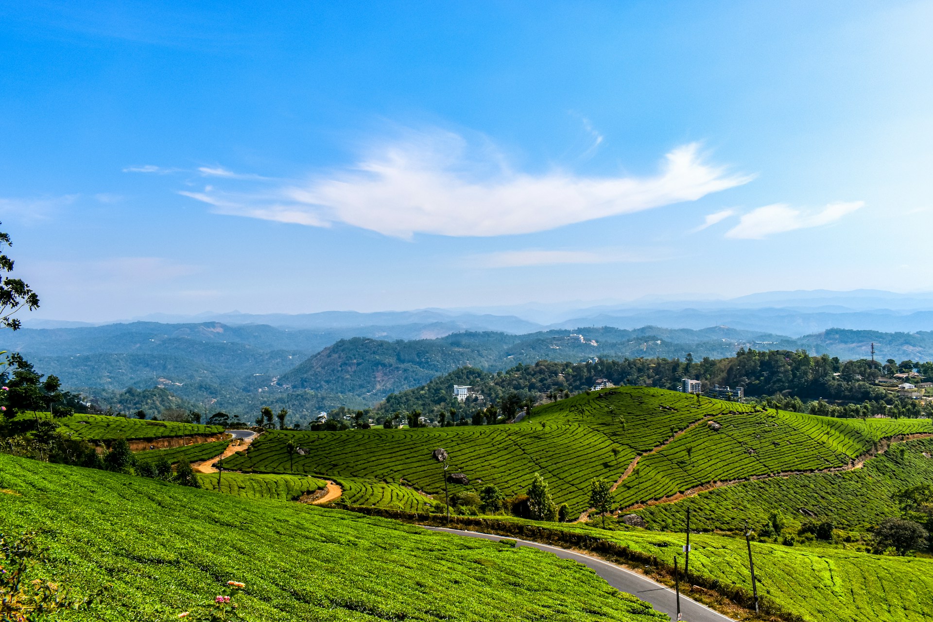 Lush green tea plantations in Munnar, Kerala, with rolling hills and a clear blue sky, illustrating the scenic Kerala.