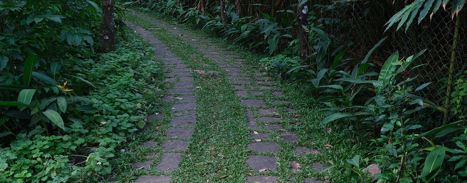 Mystic mayapot retreat stay is a self-heal from the snags of life by connecting nature in its purest form.