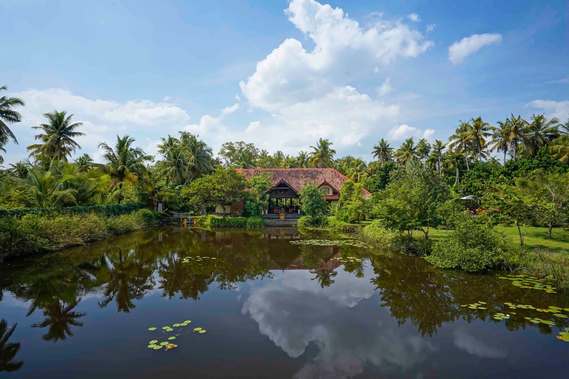 Lush green landscape surrounding a tranquil pond reflecting a traditional Kerala retreat.