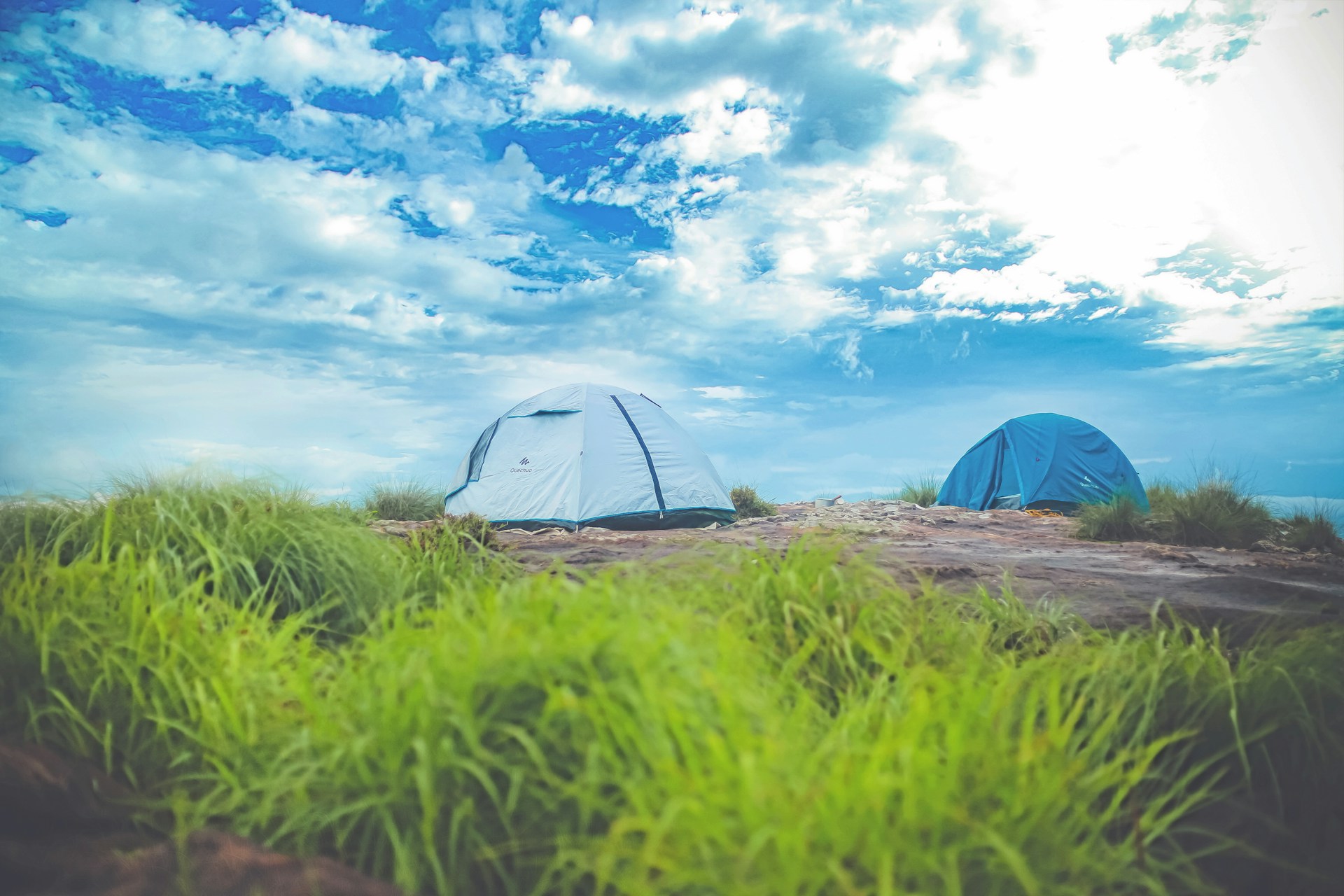 Tents set up in lush green grass under a vibrant sky, depicting a serene camping experience in Kerala's natural landscape.