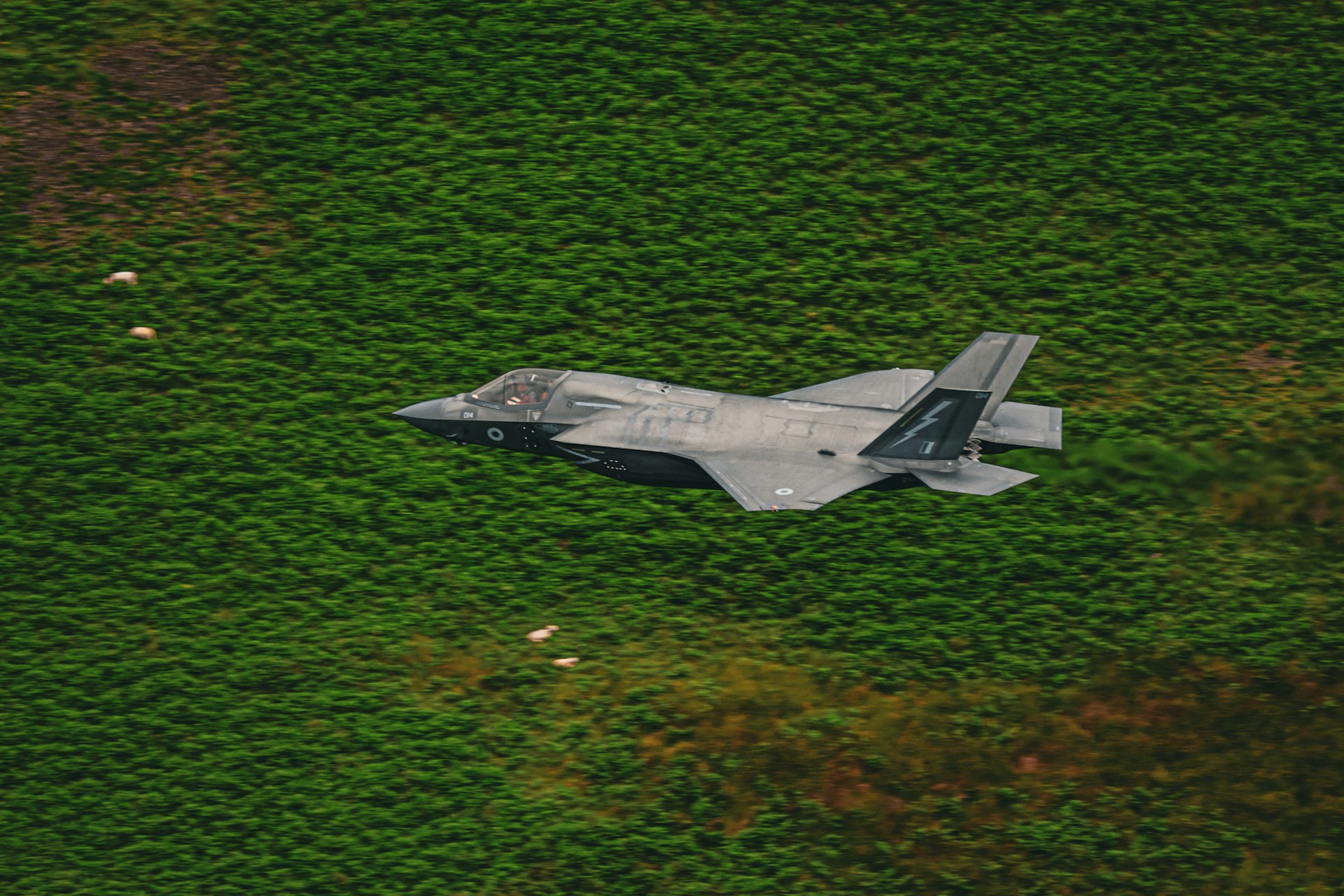 British Royal Navy F-35B fighter jet flying over lush green grass, symbolizing its unexpected landing in Kerala.