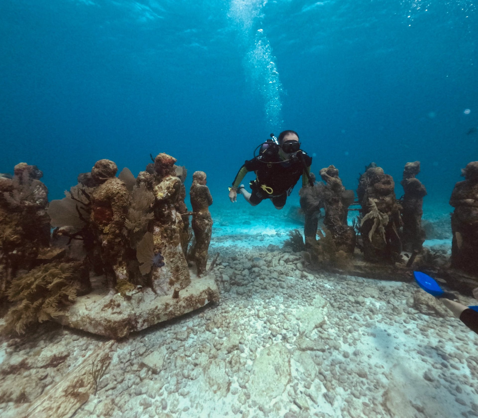 an abstract photo of a curved building with a blue sky in the background