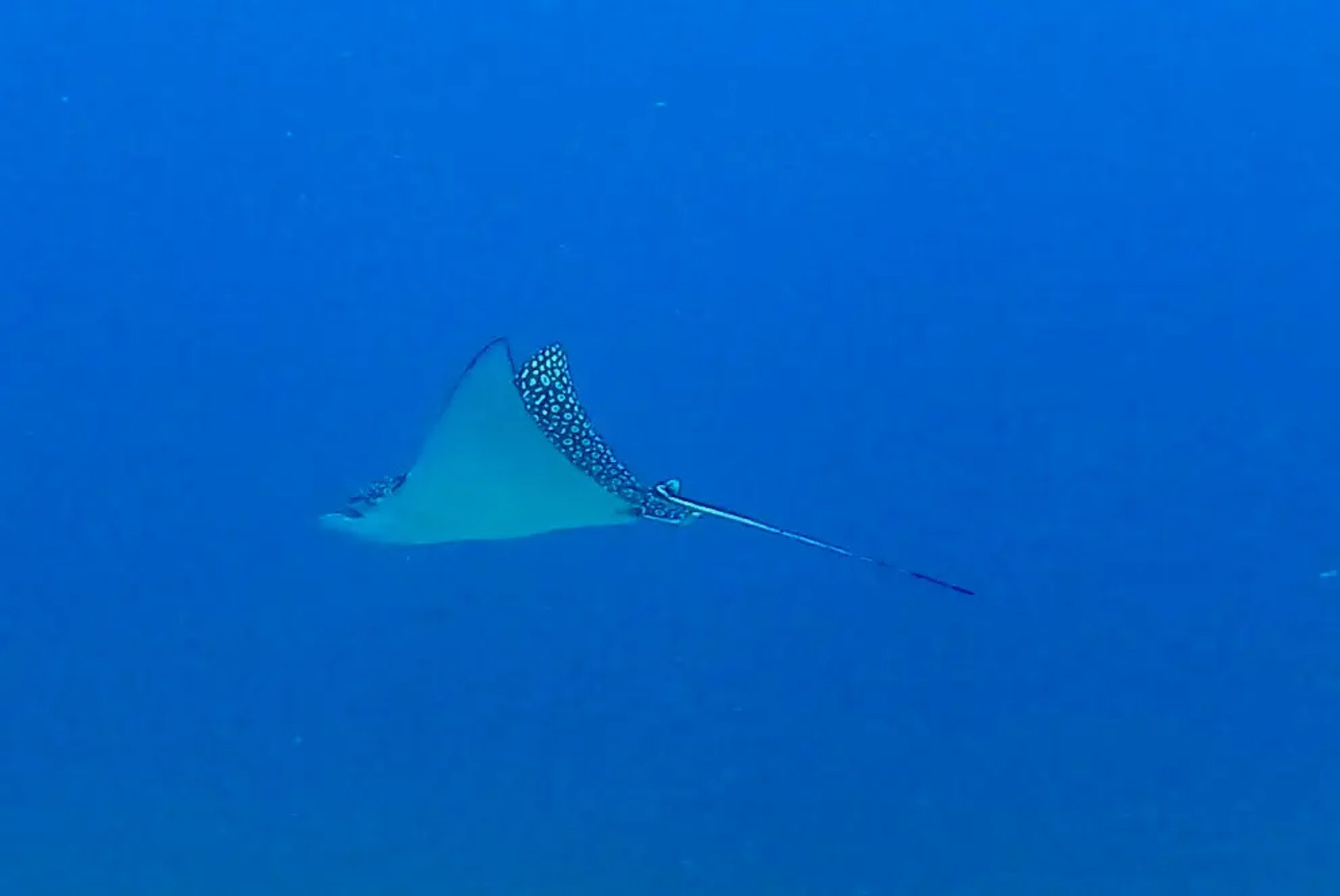 an abstract photo of a curved building with a blue sky in the background