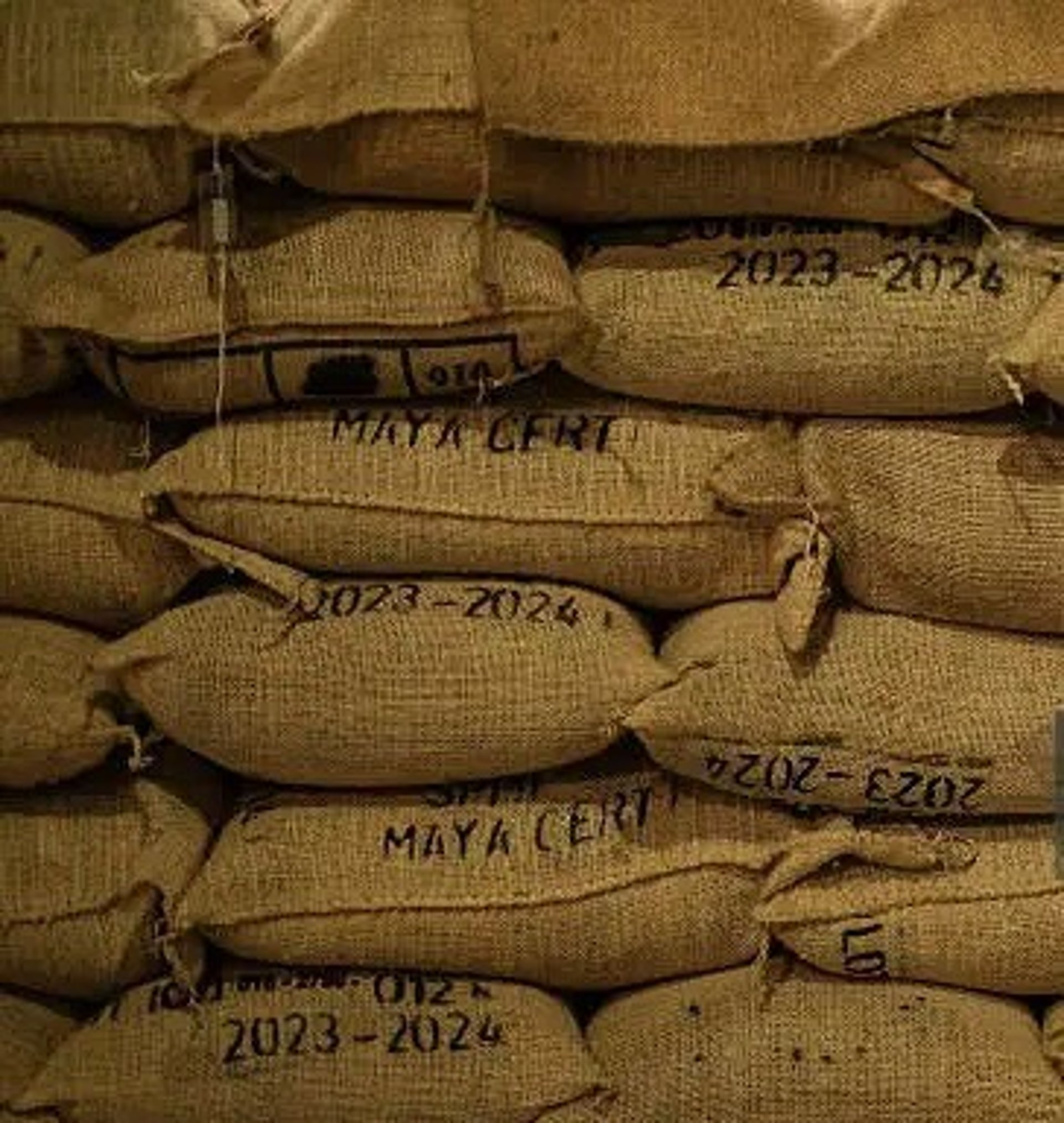 person holding pencil near laptop computer