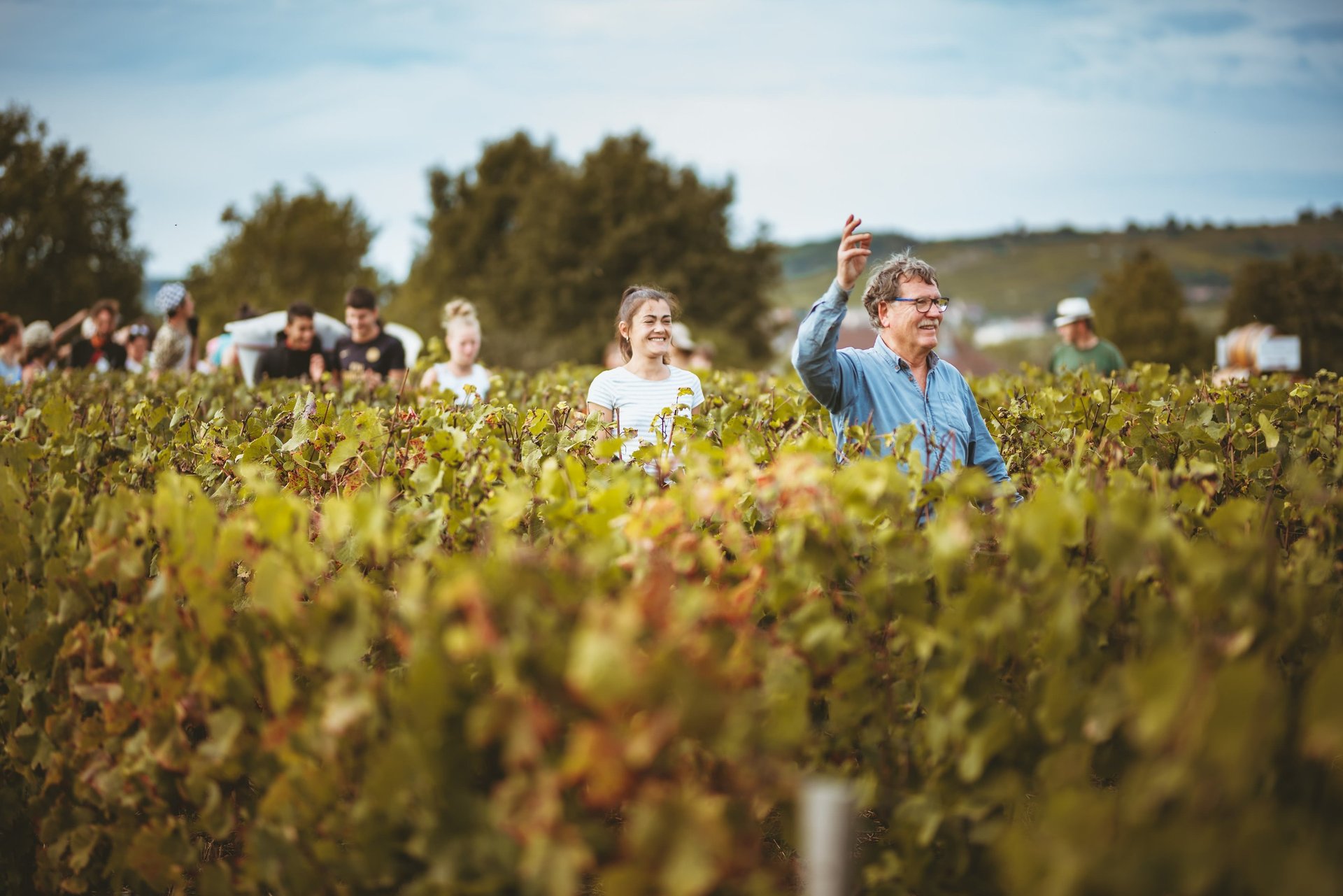 an abstract photo of a curved building with a blue sky in the background