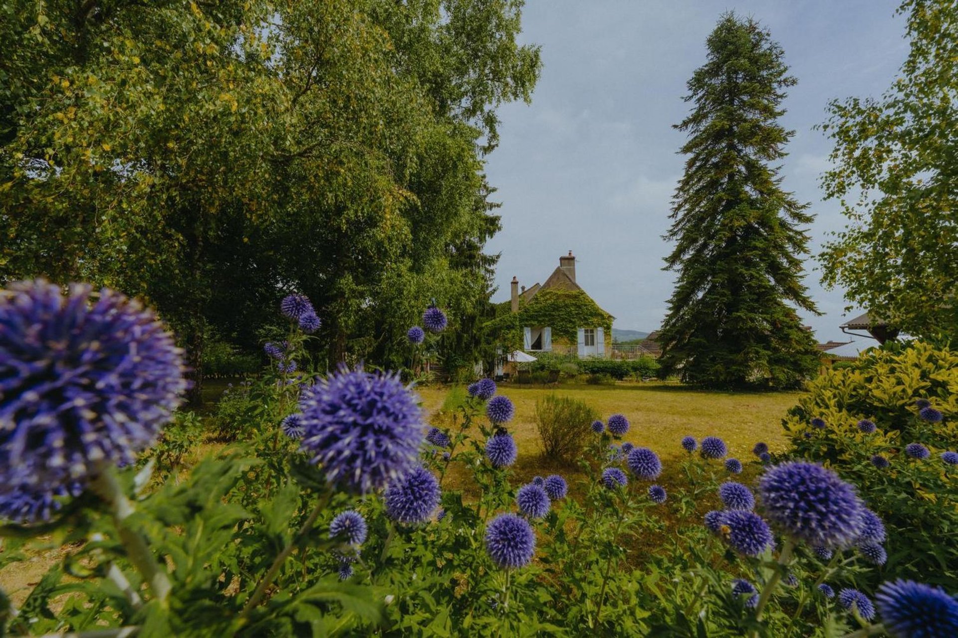 an abstract photo of a curved building with a blue sky in the background