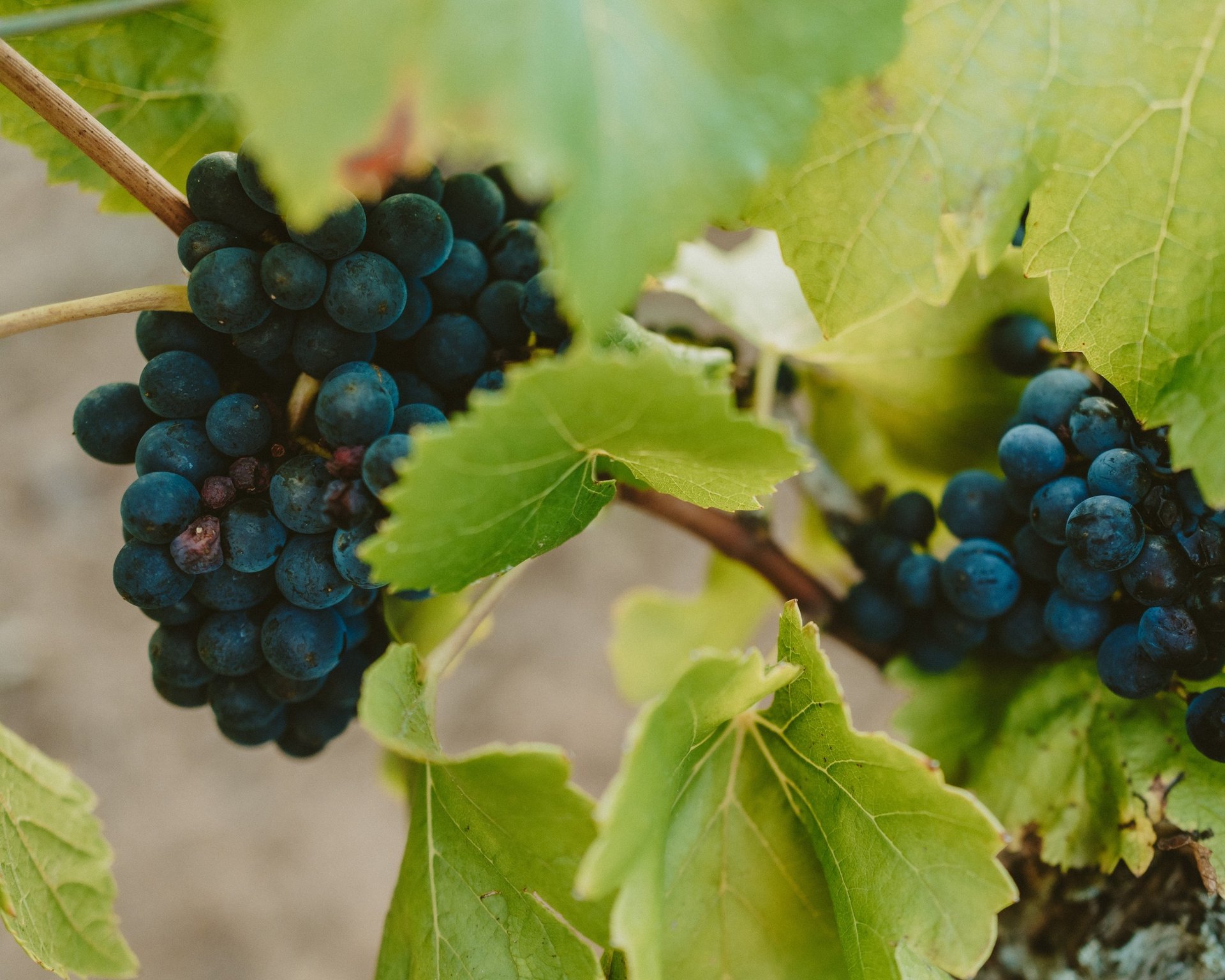 an abstract photo of a curved building with a blue sky in the background