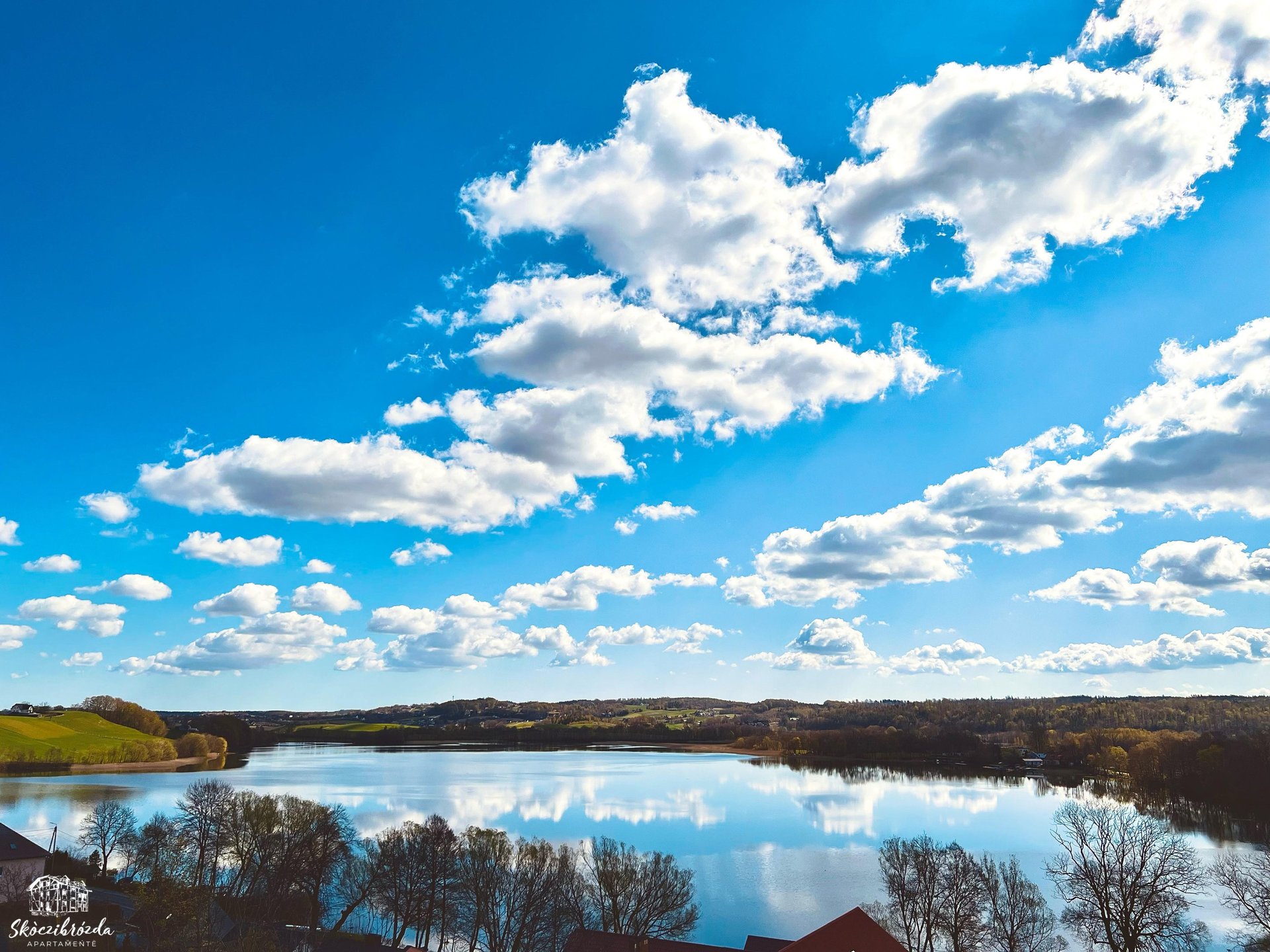 woman wearing yellow long-sleeved dress under white clouds and blue sky during daytime