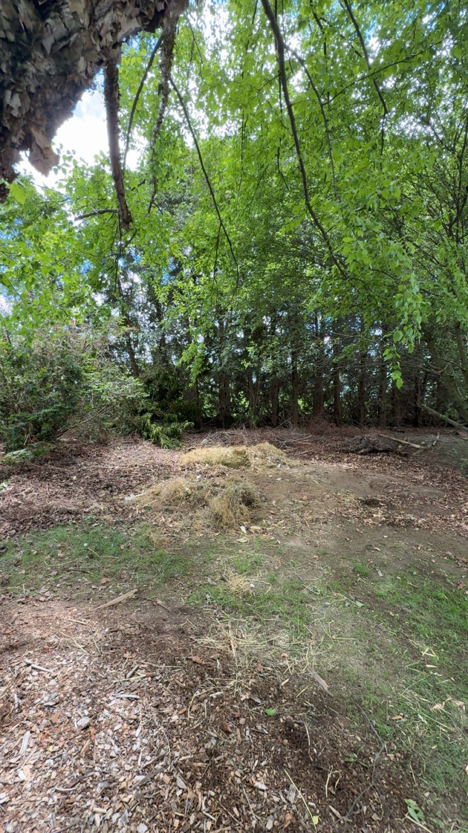 Estate cleanout in Turners Falls MA clearing full property