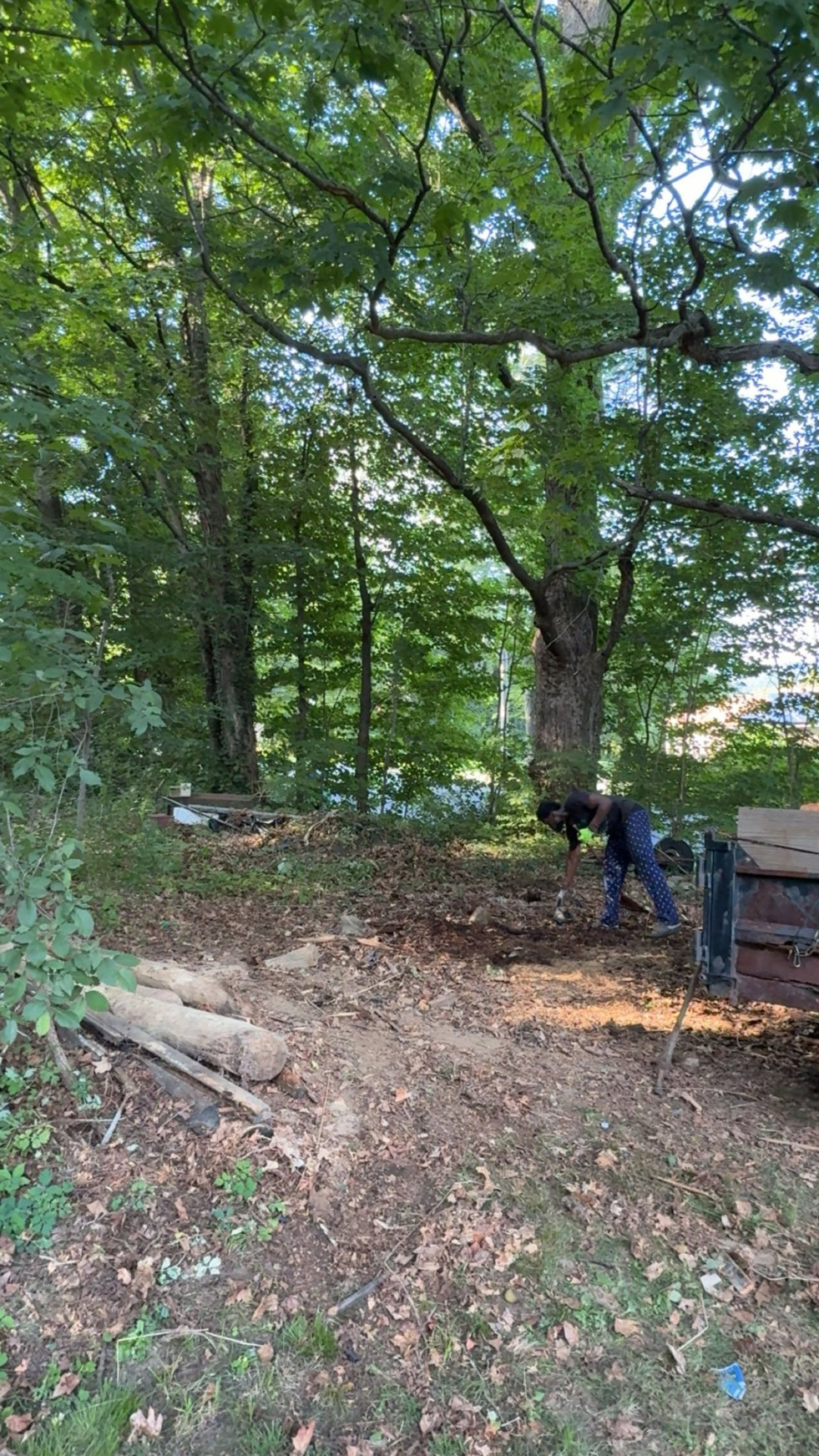 Junk hauling truck loaded during Whately cleanout
