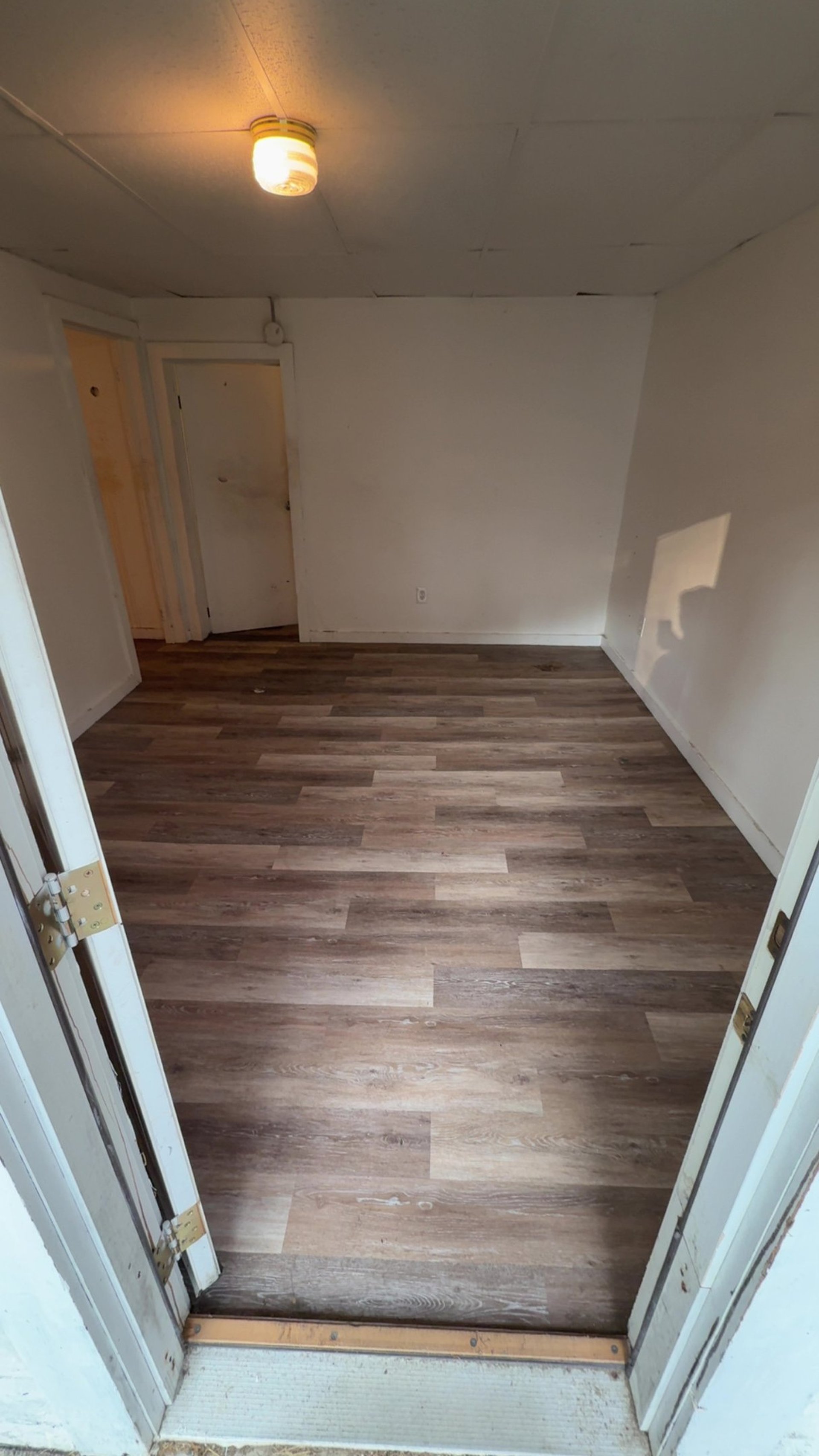 Shed cleanout removing debris in Gill Massachusetts