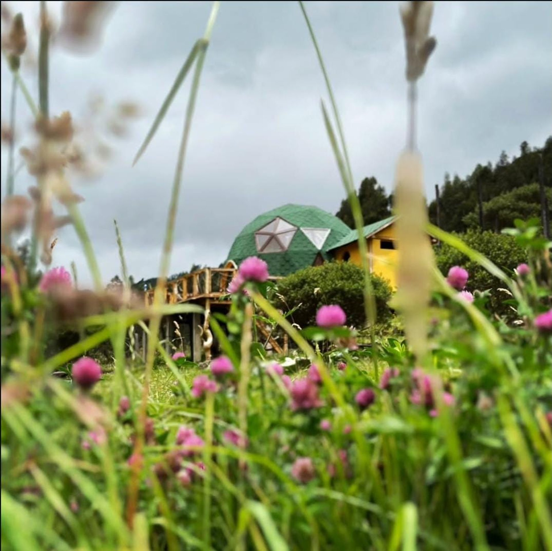 an abstract photo of a curved building with a blue sky in the background
