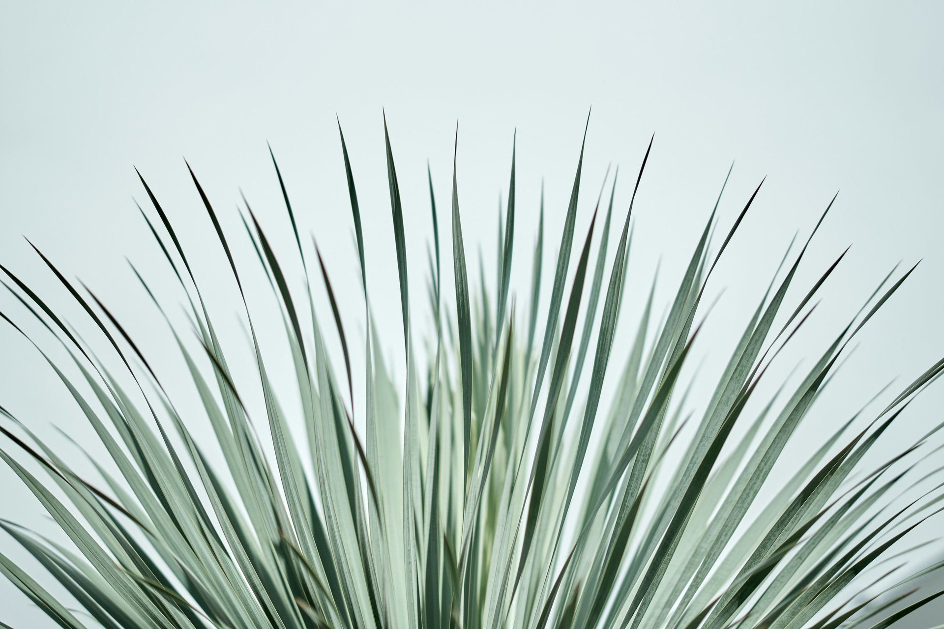 an abstract photo of a curved building with a blue sky in the background