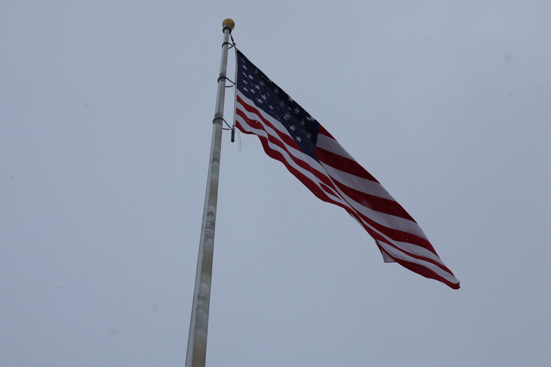 U.S. American flags under clear sky