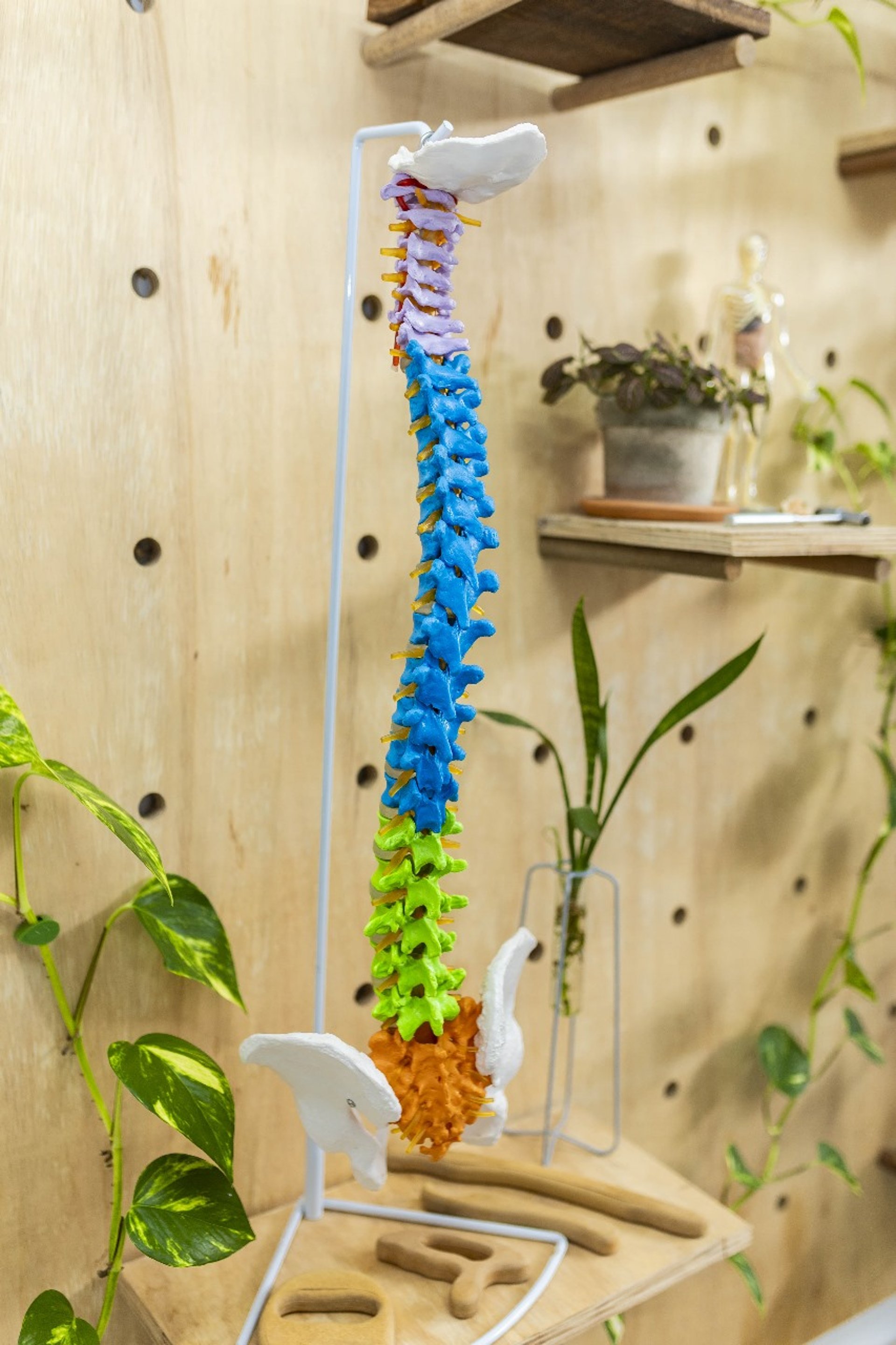 an abstract photo of a curved building with a blue sky in the background