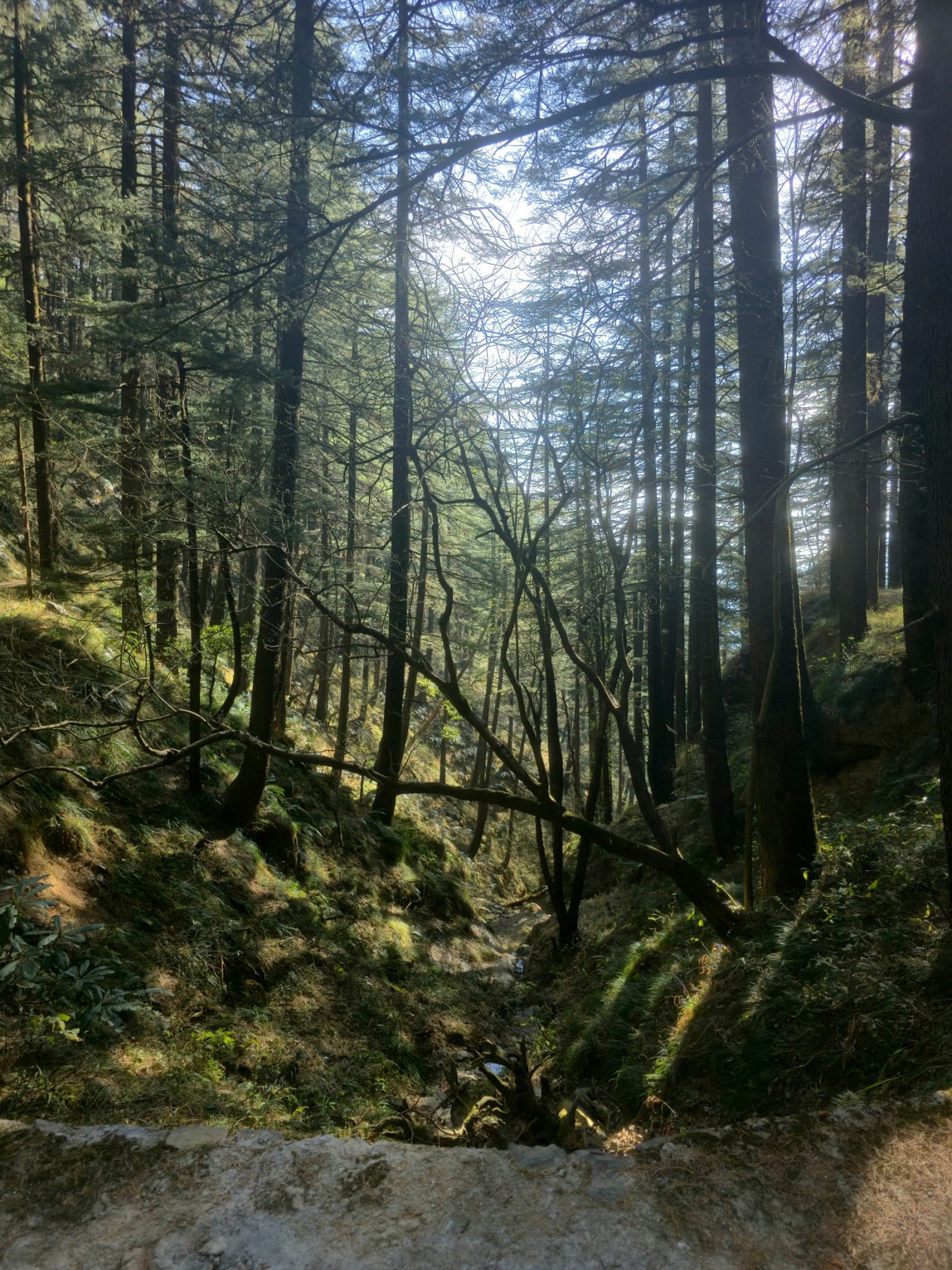 brown and green mountains under white clouds during daytime
