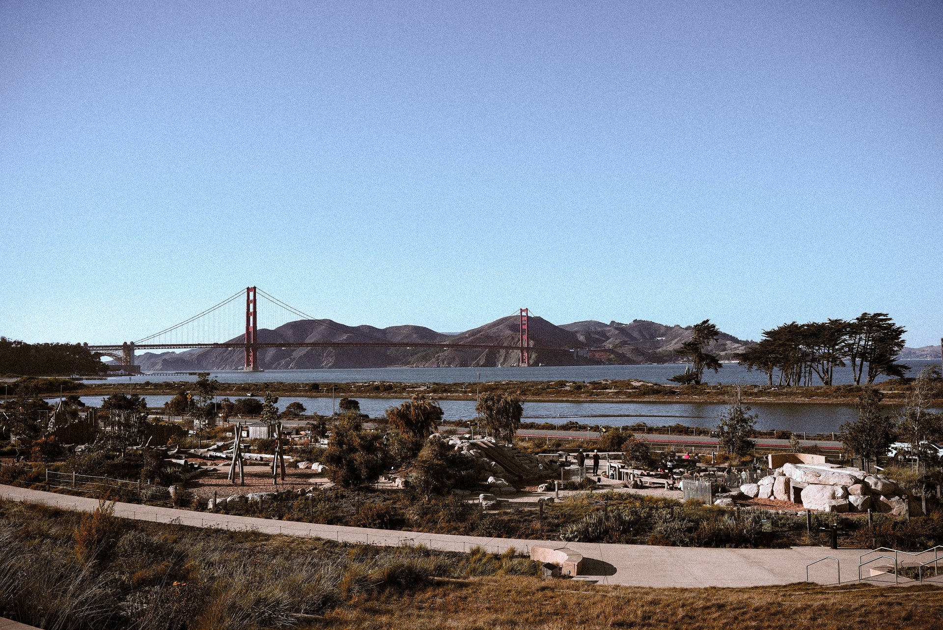 black blue and yellow textile