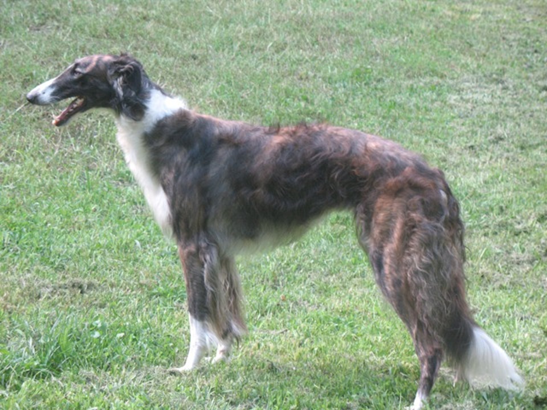 black and white bed linen