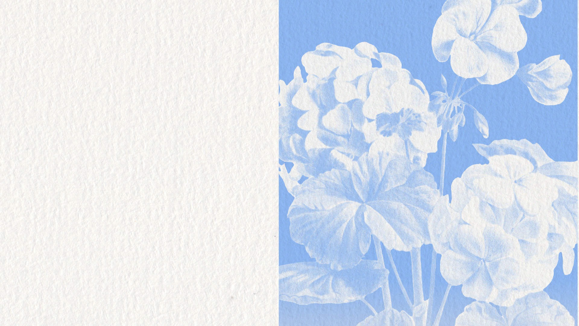 papel blanco con flores blancas y fondo azul