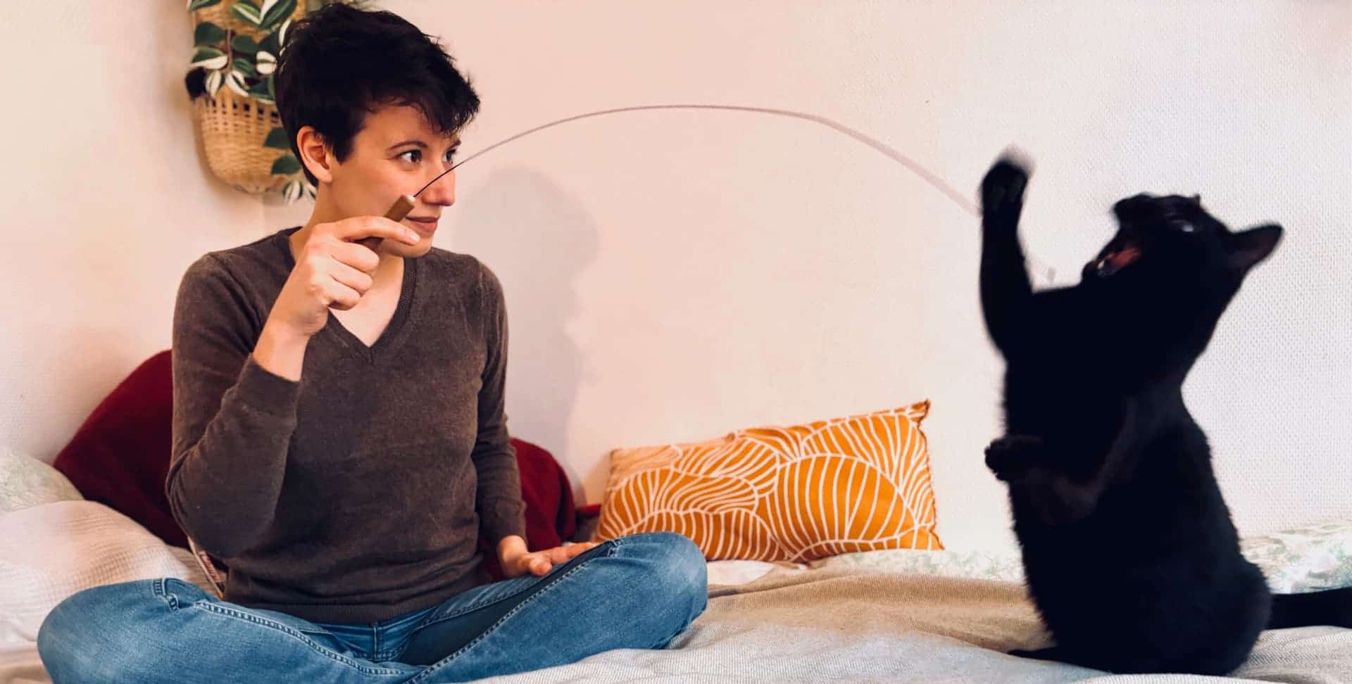 Juliette Puy Félinités Consultation comportementale