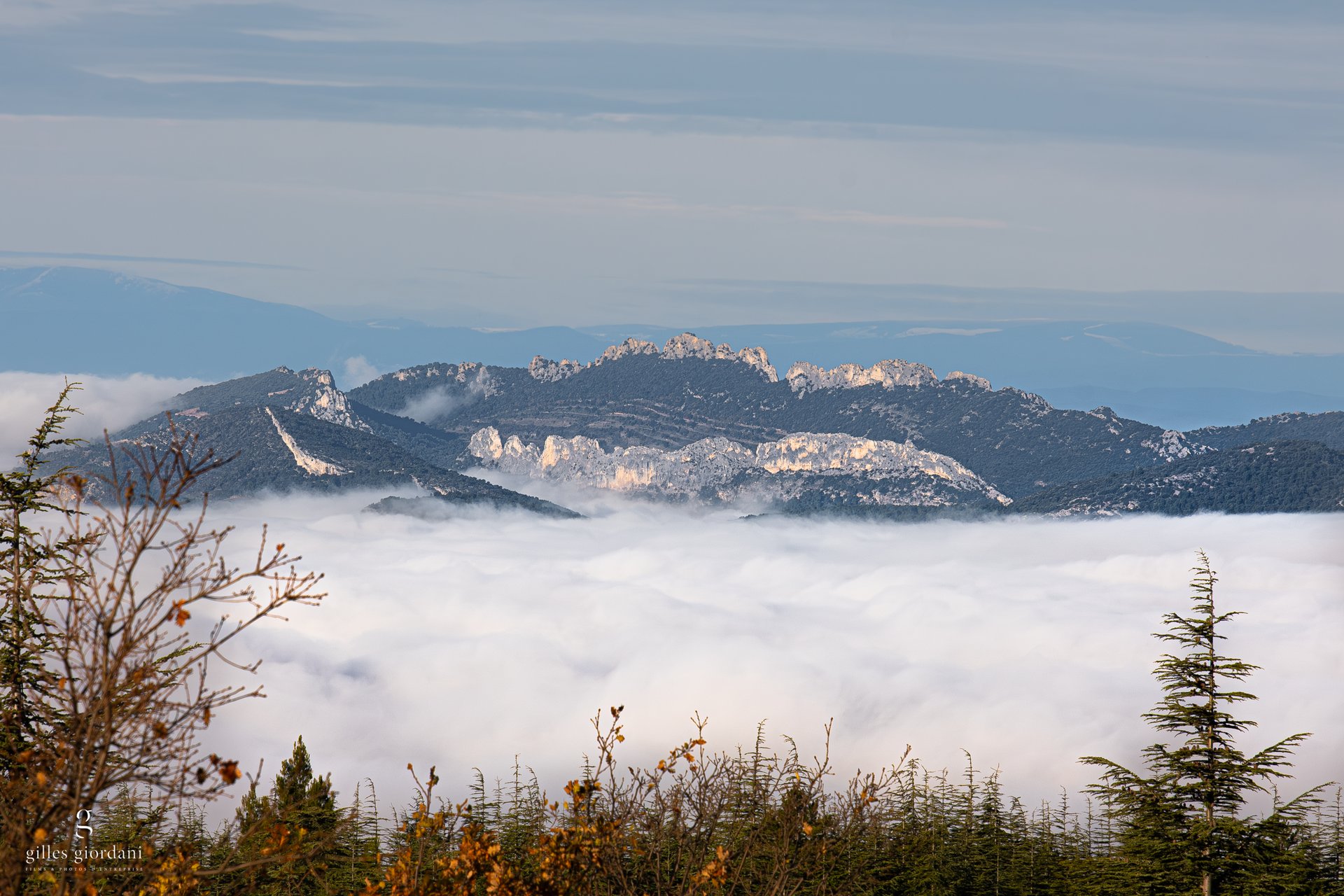 a close up of a black and brown abstract painting