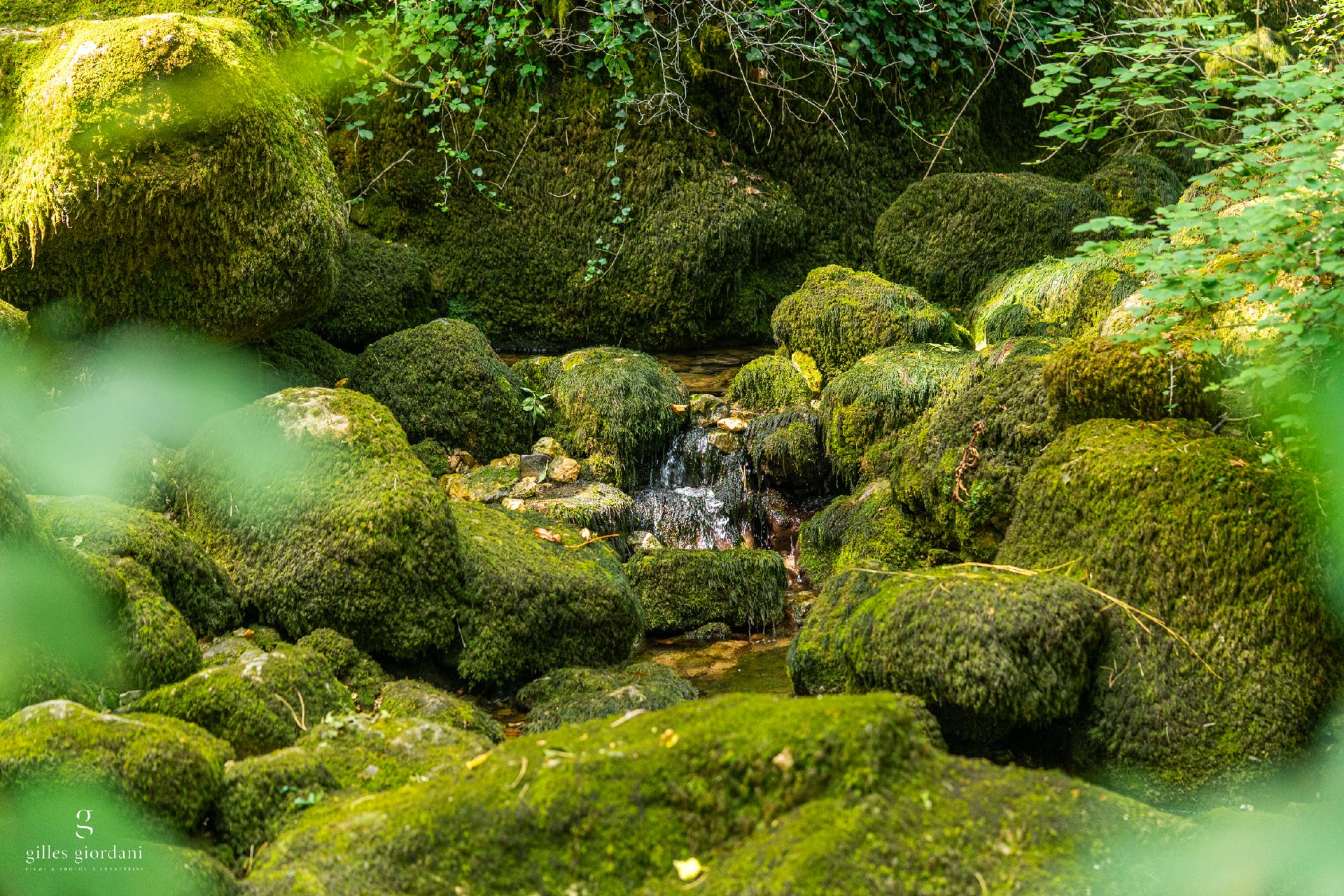 Photographie paysage en Vaucluse par Gilles Giordani