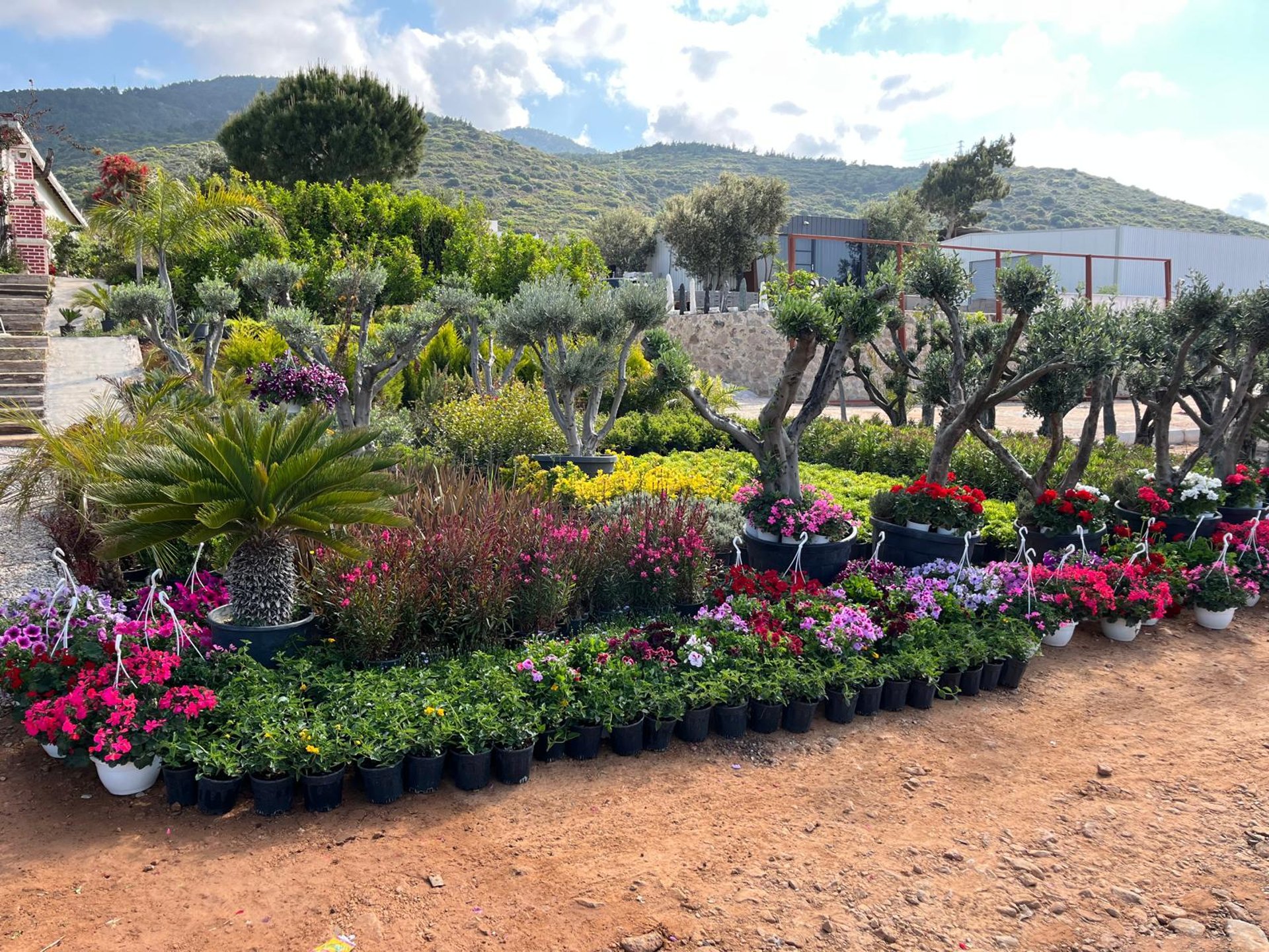 woman wearing yellow long-sleeved dress under white clouds and blue sky during daytime
