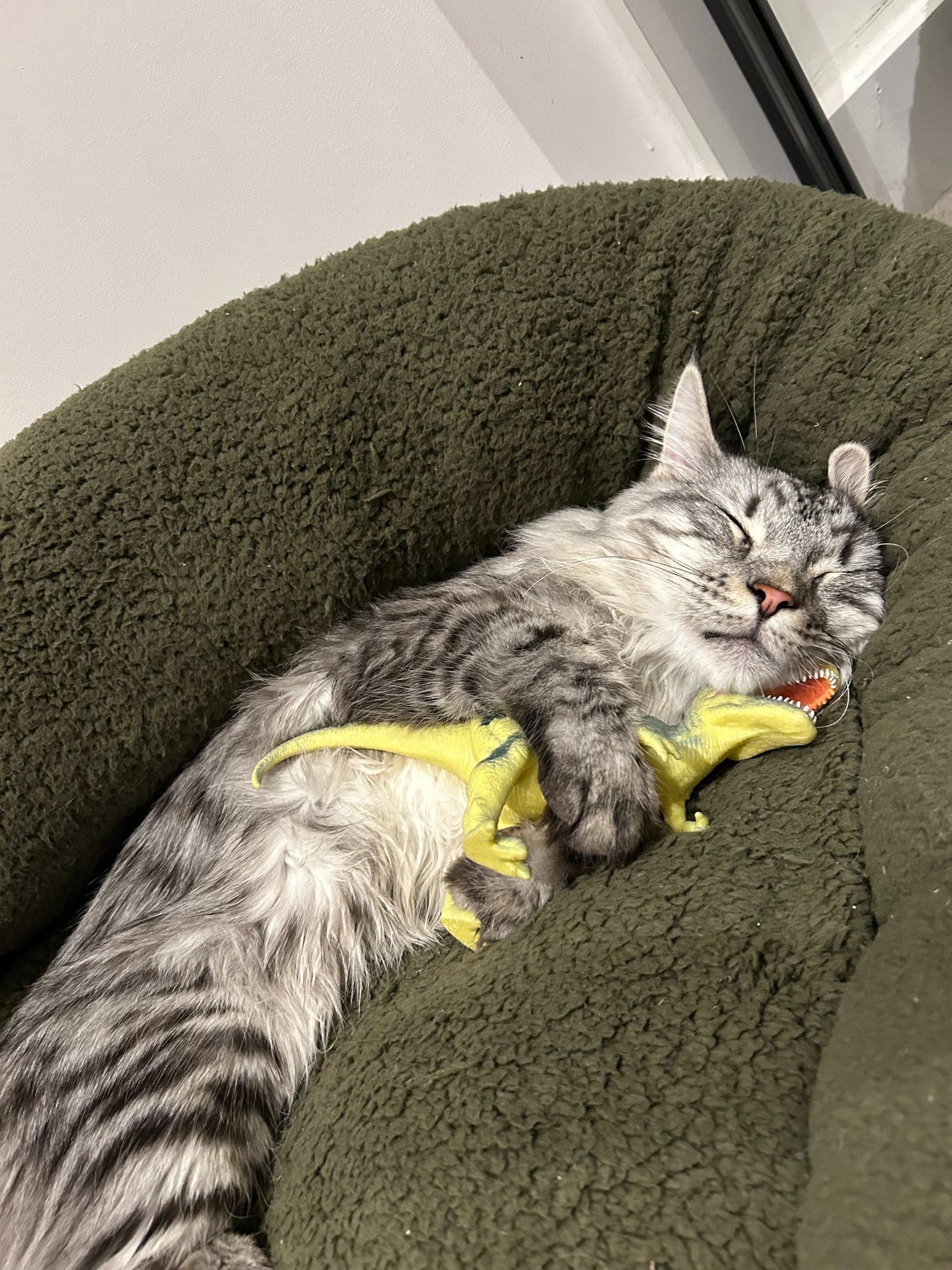 man sitting on mountain rock