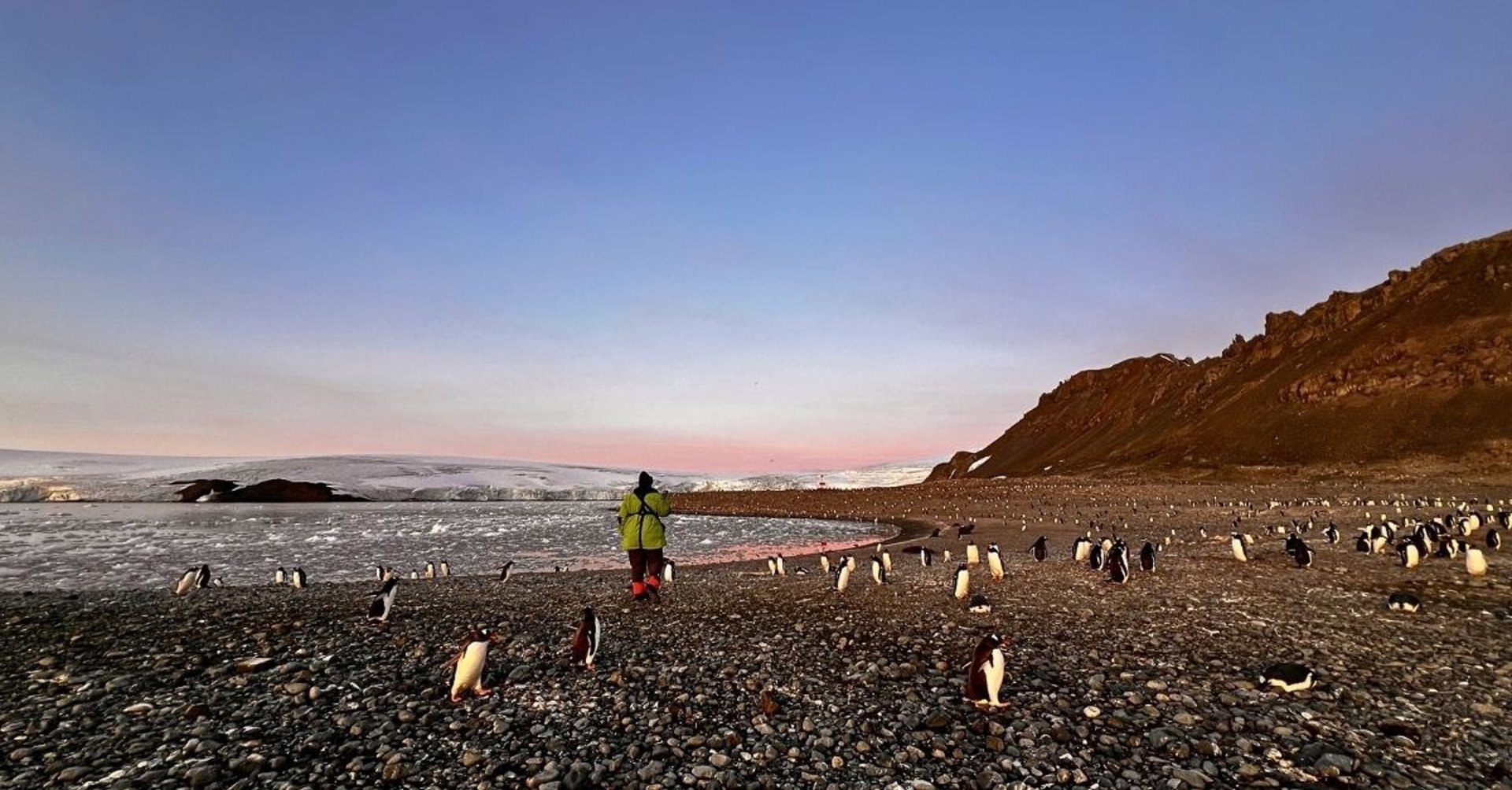 a humpback whale swims beneath the surface of the water
