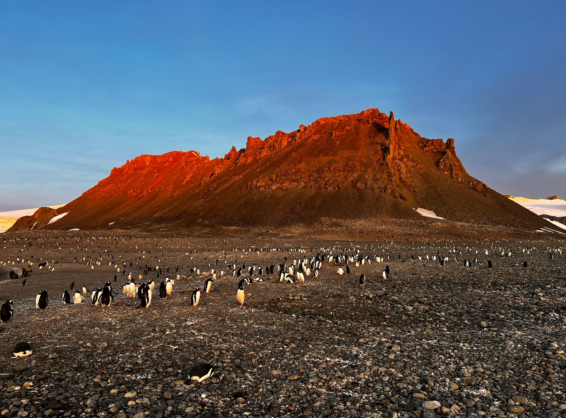 a humpback whale swims beneath the surface of the water
