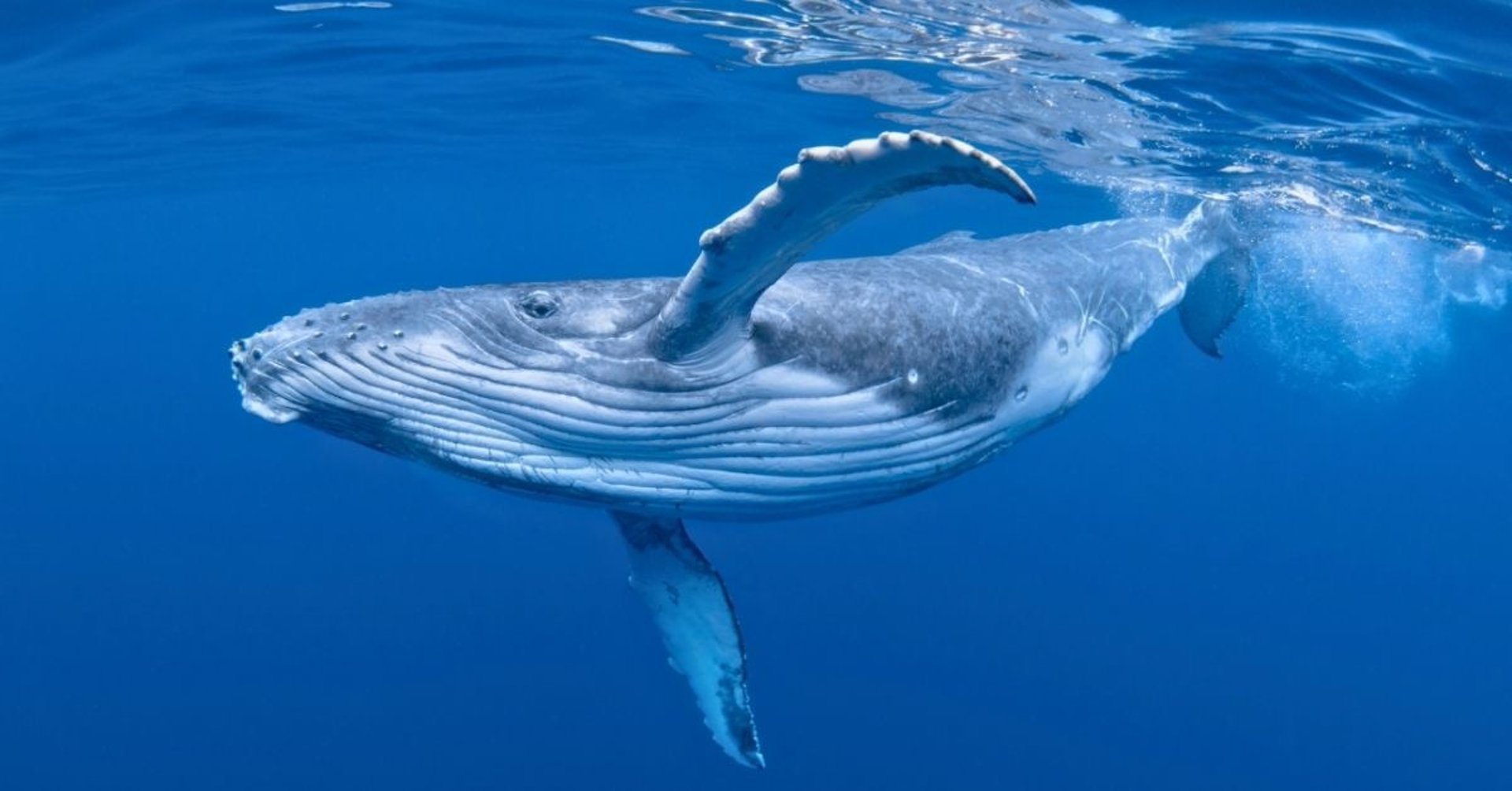 snow covered mountain under cloudy sky during daytime