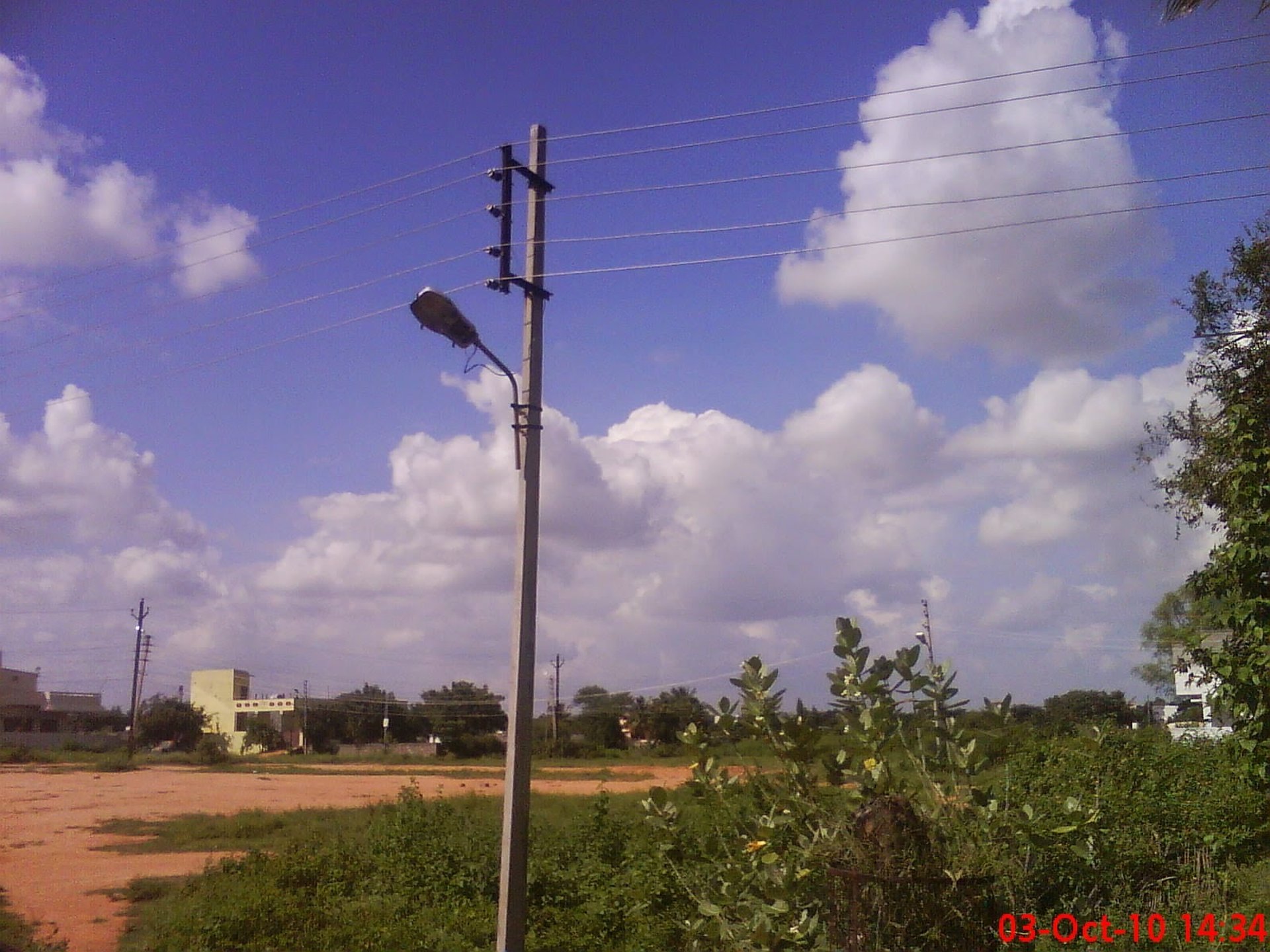 A man standing in the middle of a forest holding a staff