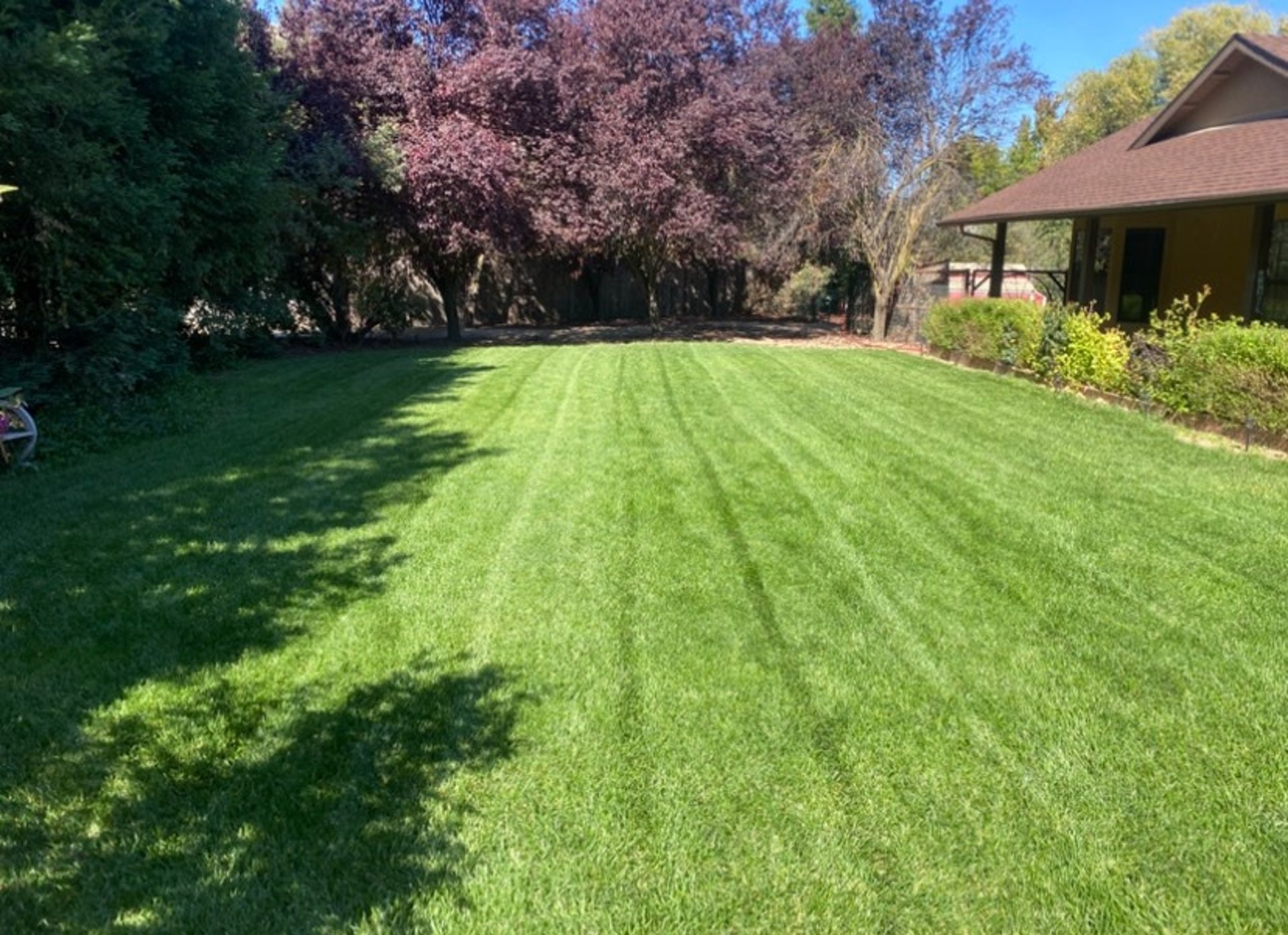 gray computer monitor