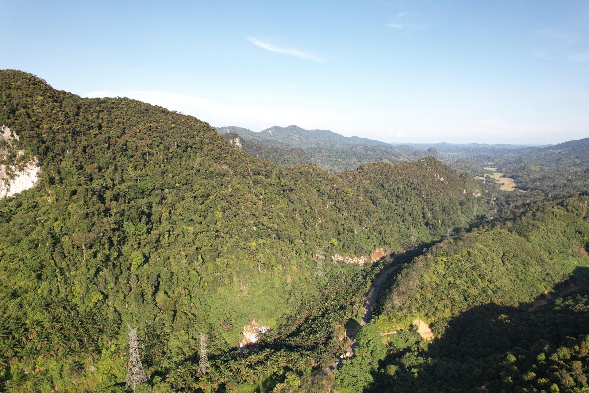 black and brown leather padded tub sofa