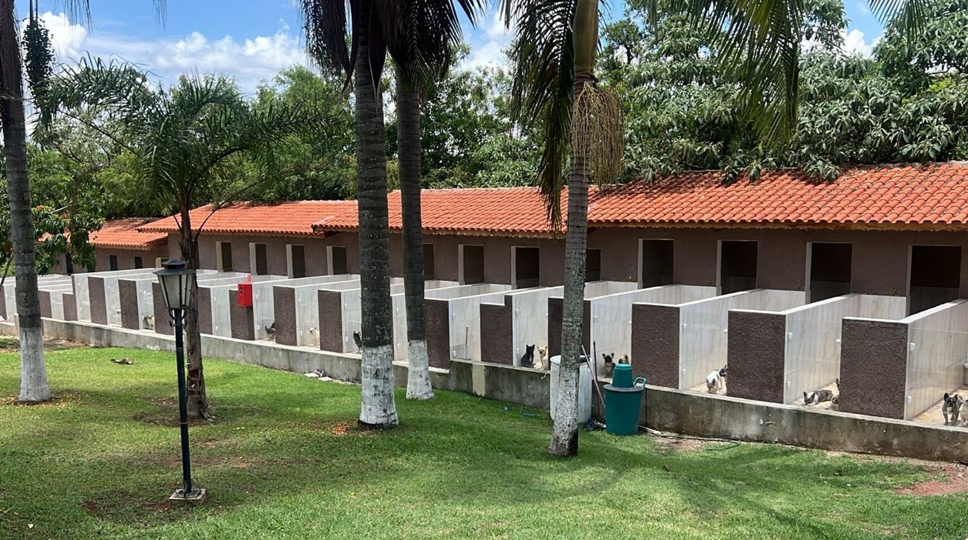 black and brown leather padded tub sofa