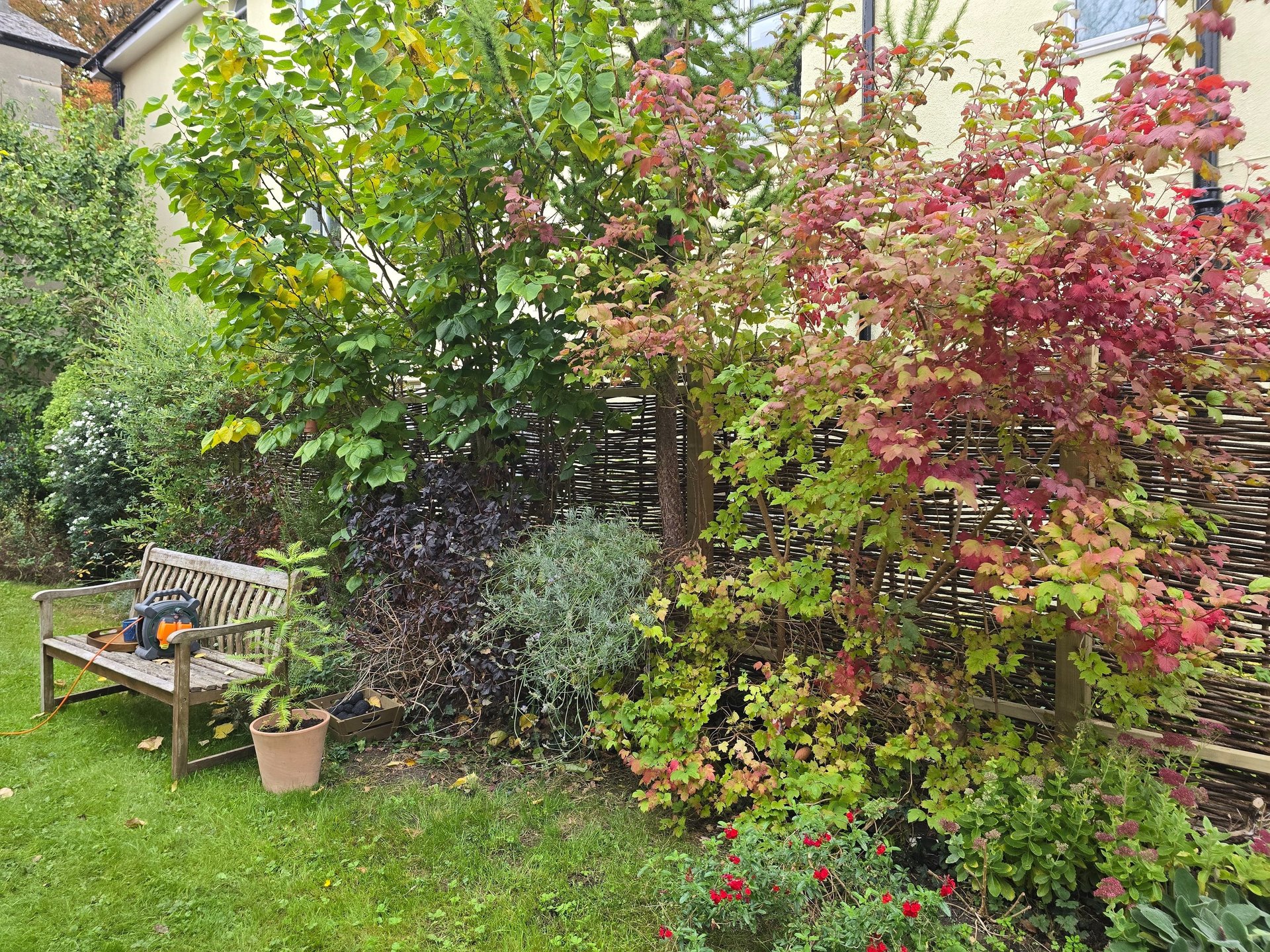 gray computer monitor