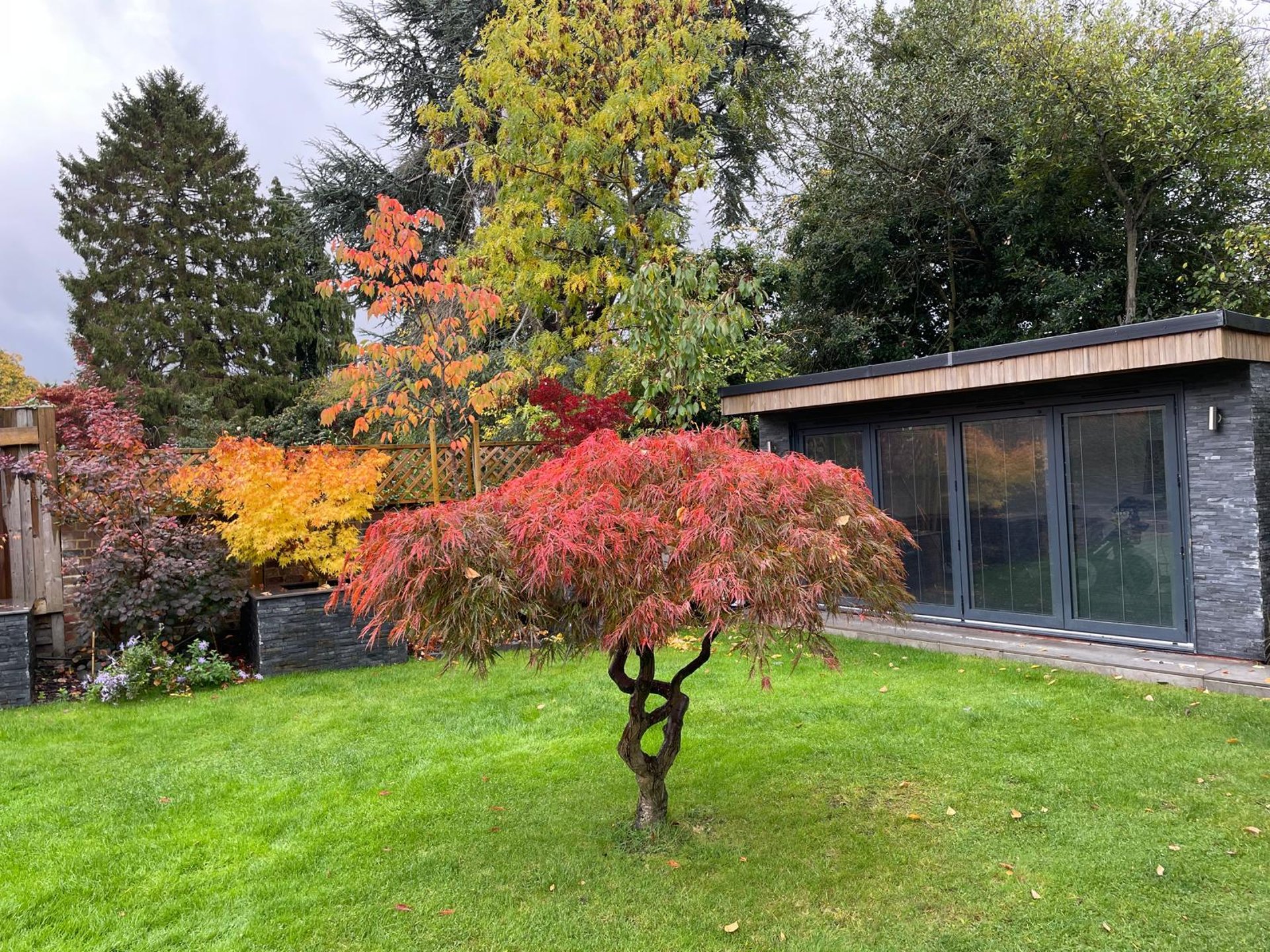 black and brown leather padded tub sofa