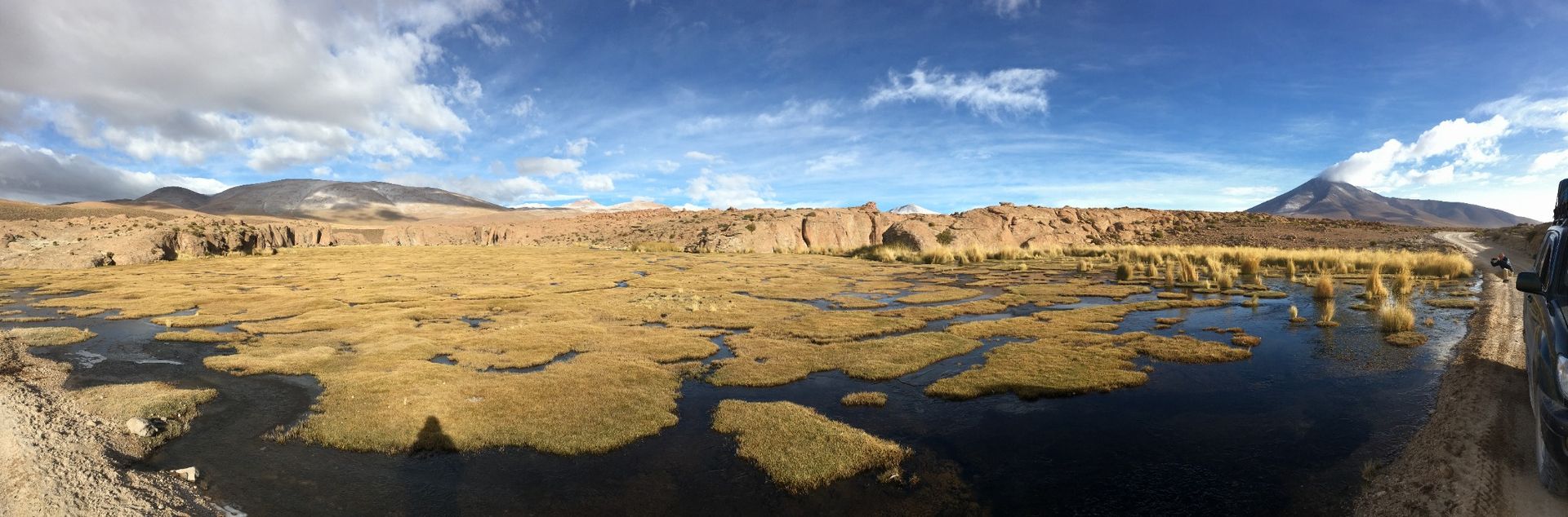 bofedale-andine-zone-humide-desert-sud-lipez-bolivie-ayrama-voyage