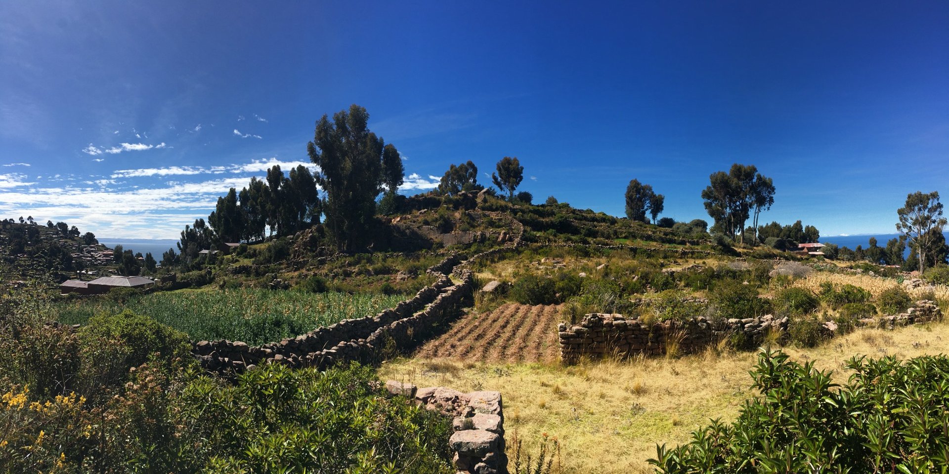 Paysage panoramique de l’île Taquile sur le lac Titicaca, avec terrasses agricoles, collines verdoyantes et maisons en pierre