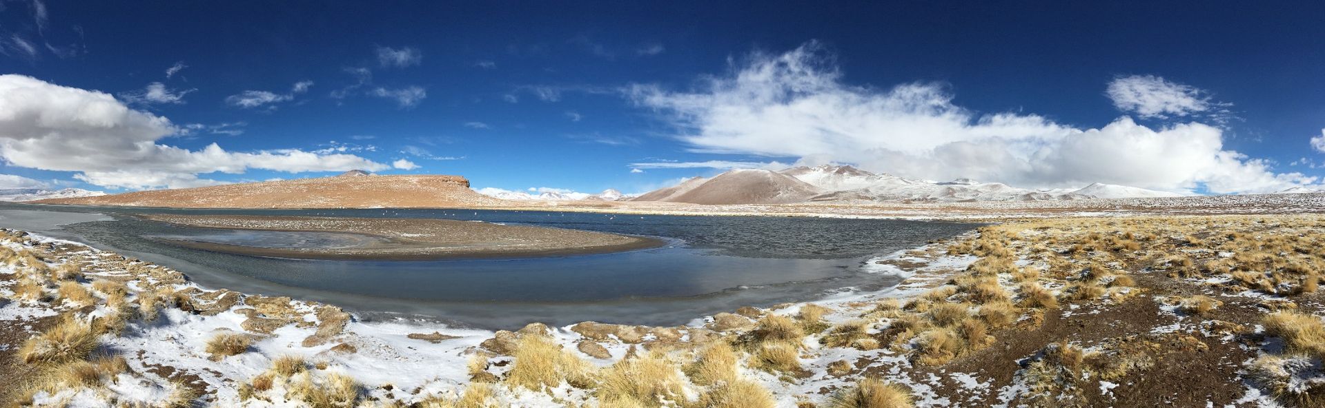 Paysage de la Laguna Hedionda dans le Sud Lípez en Bolivie, eau glacée, montagnes enneigées des Andes et ciel bleu intense
